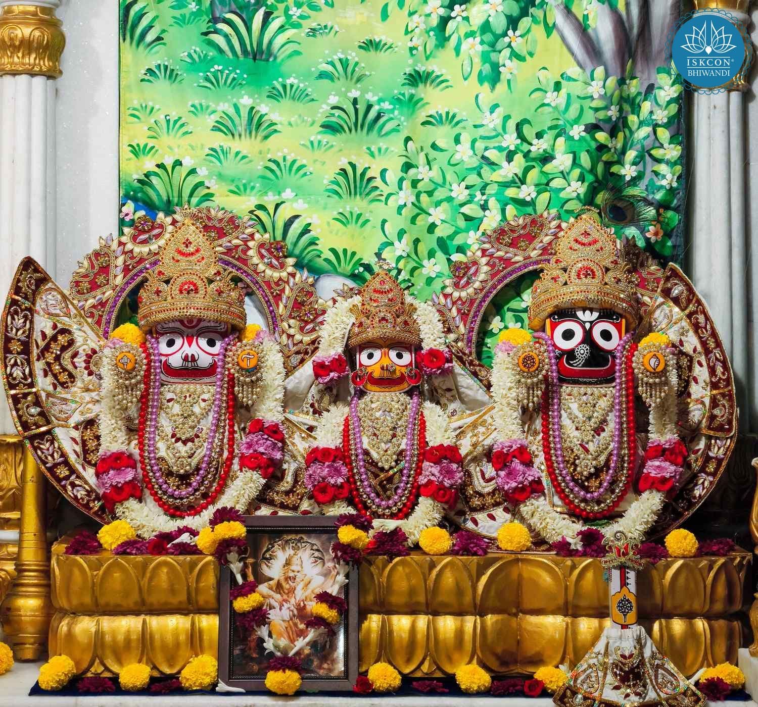 Sringar Darshan photo 4 of 12 — 24 November 2025