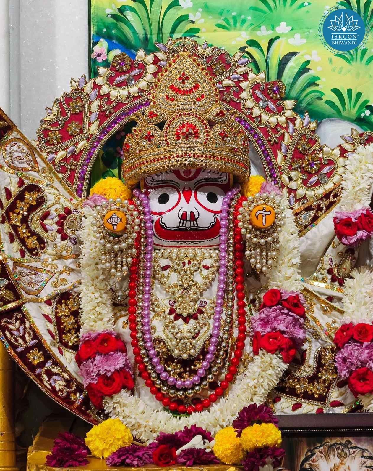 Sringar Darshan photo 9 of 12 — 24 November 2025