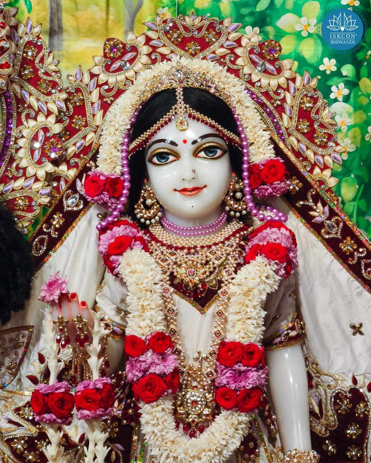 Sringar Darshan photo 12 of 12 — 24 November 2025