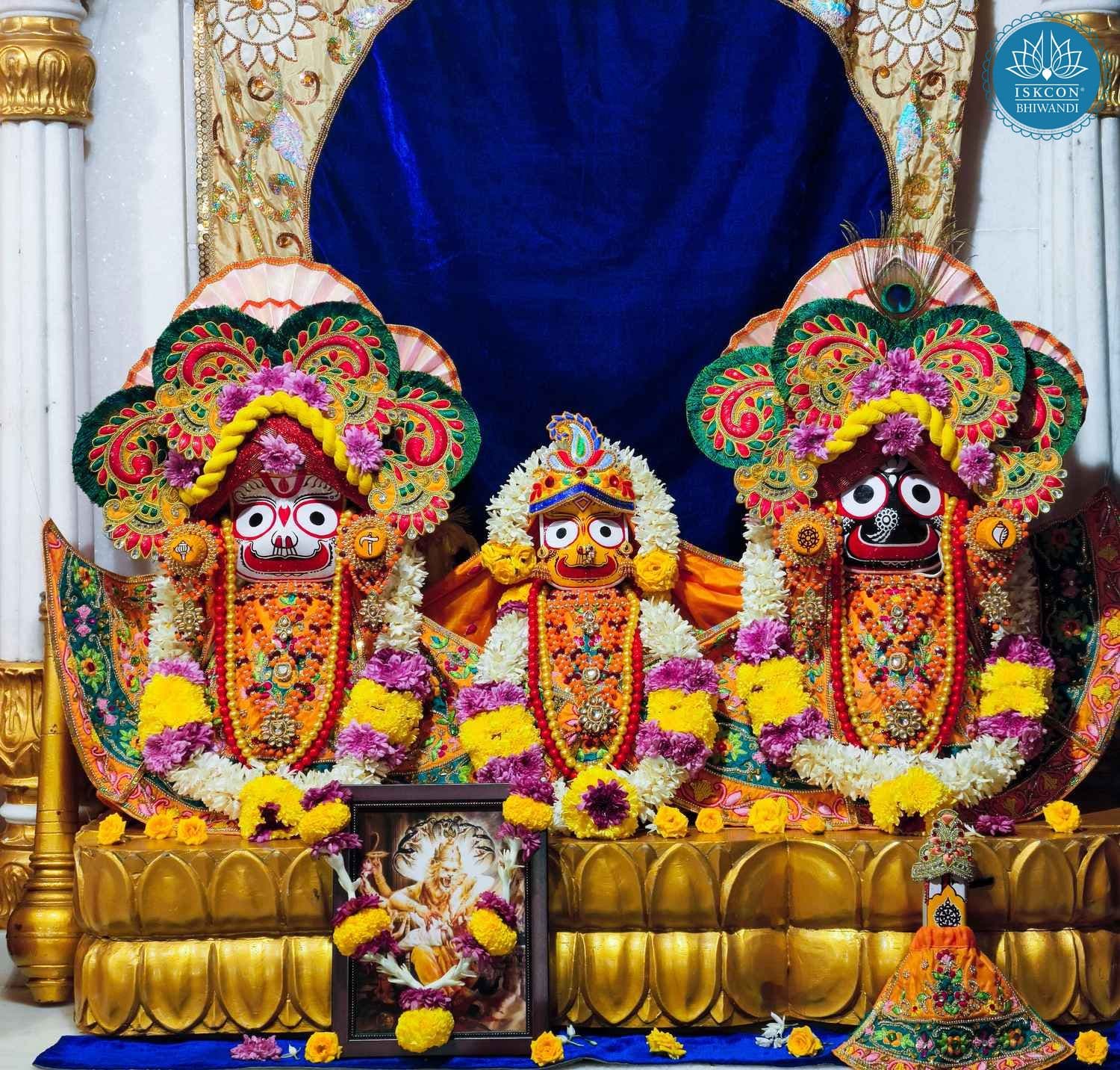 Sringar Darshan photo 4 of 12 — 25 November 2025