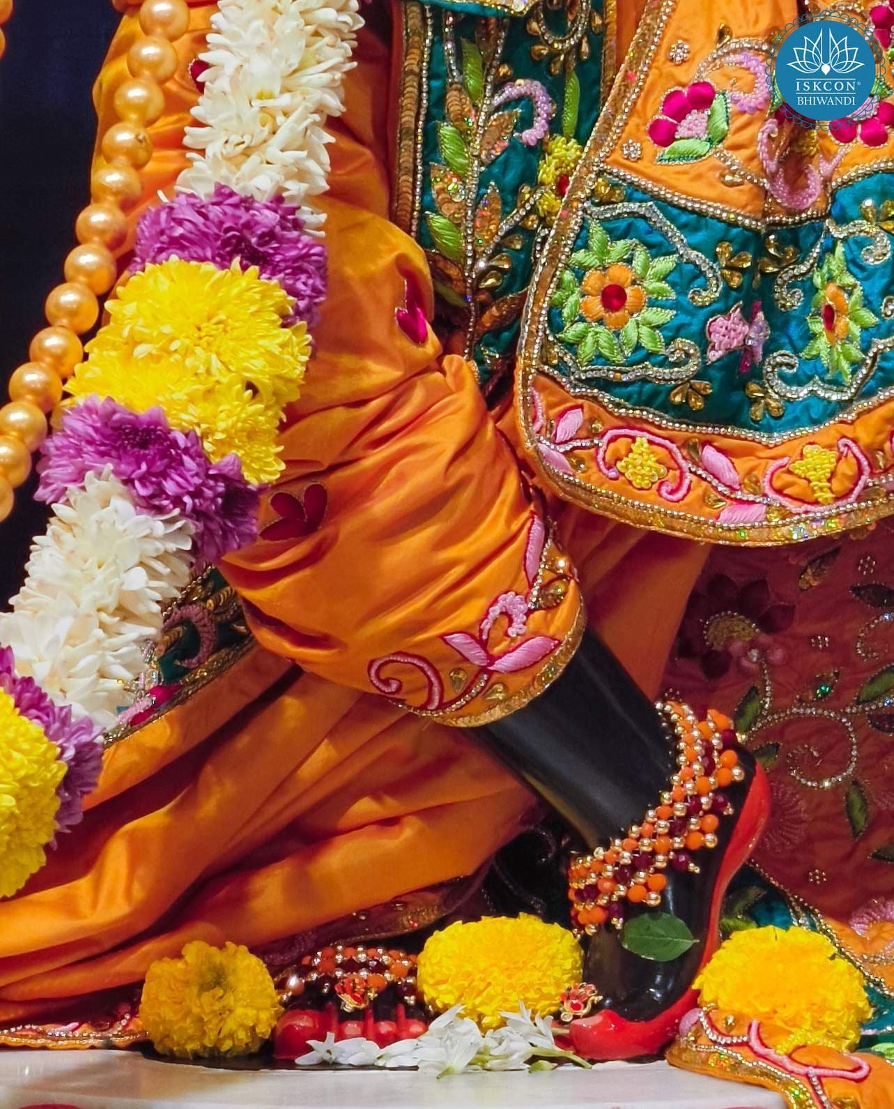 Sringar Darshan photo 3 of 12 — 25 November 2025
