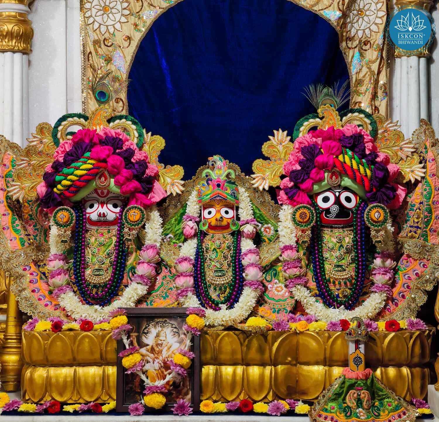 Sringar Darshan photo 2 of 12 — 26 November 2025