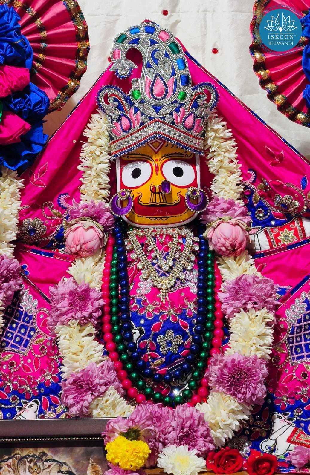 Sringar Darshan photo 8 of 12 — 28 November 2025