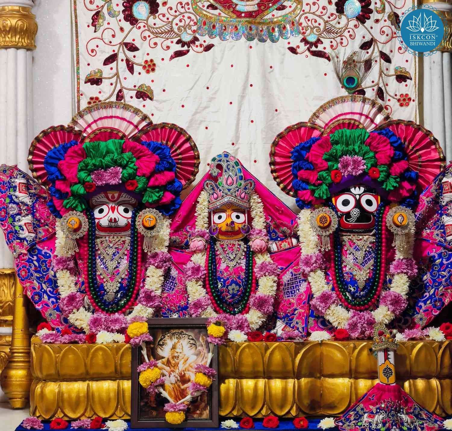Sringar Darshan photo 4 of 12 — 28 November 2025