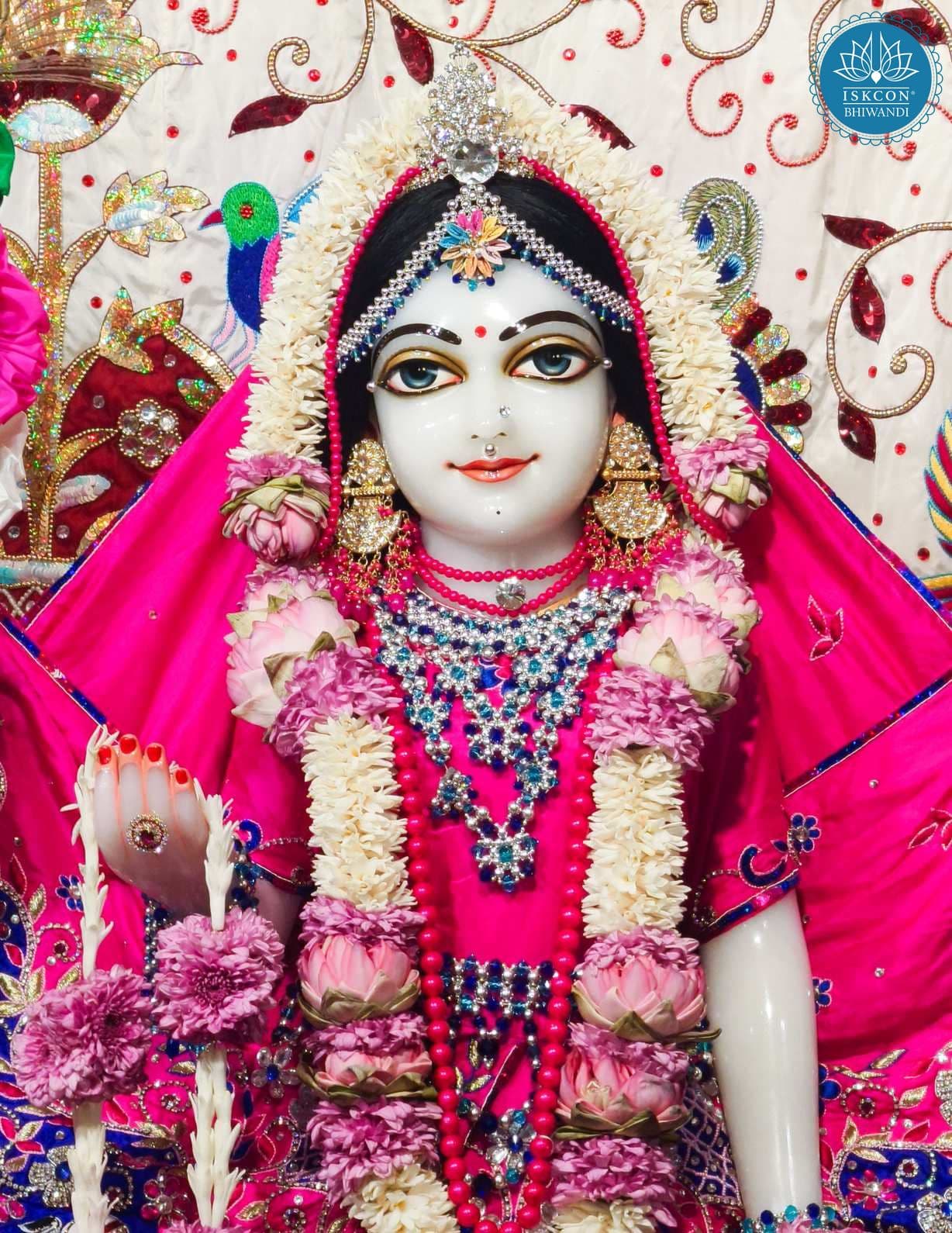 Sringar Darshan photo 12 of 12 — 28 November 2025