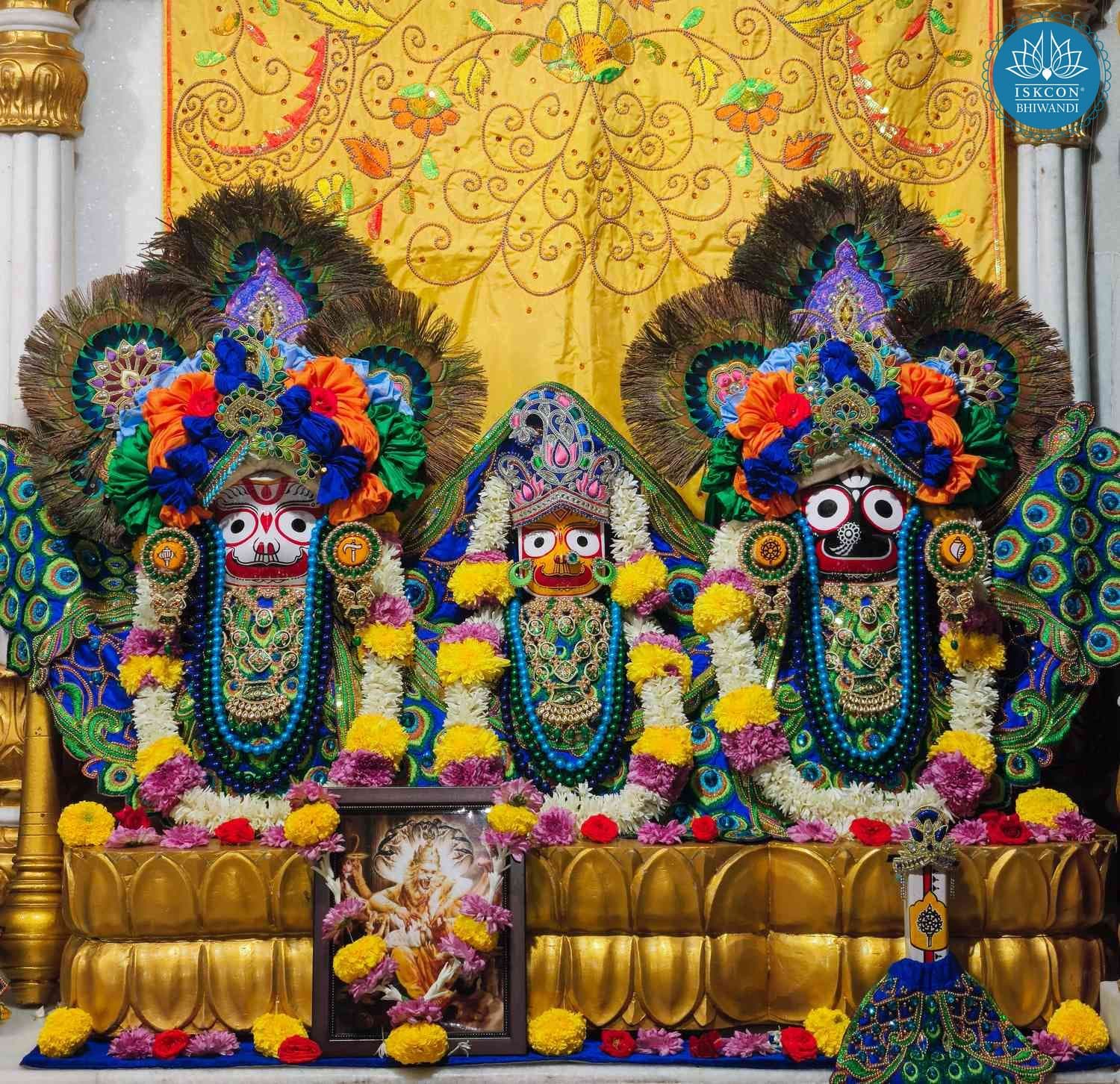 Sringar Darshan photo 2 of 12 — 29 November 2025