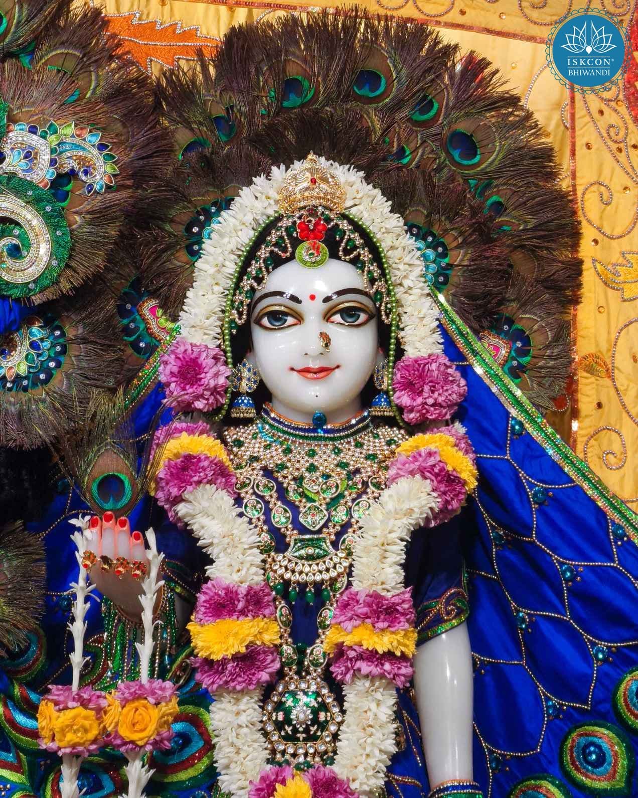 Sringar Darshan photo 12 of 12 — 29 November 2025