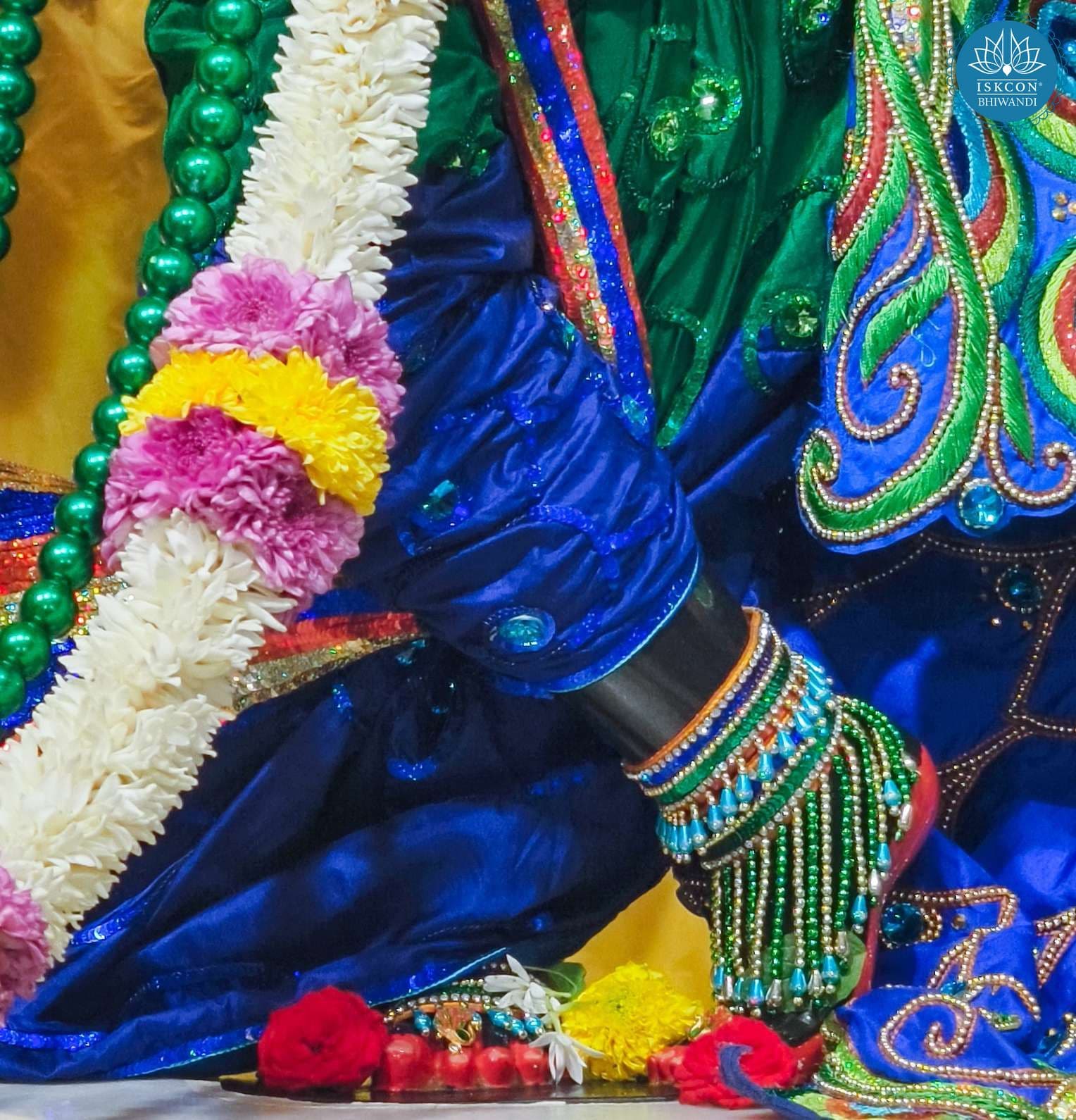 Sringar Darshan photo 8 of 12 — 29 November 2025