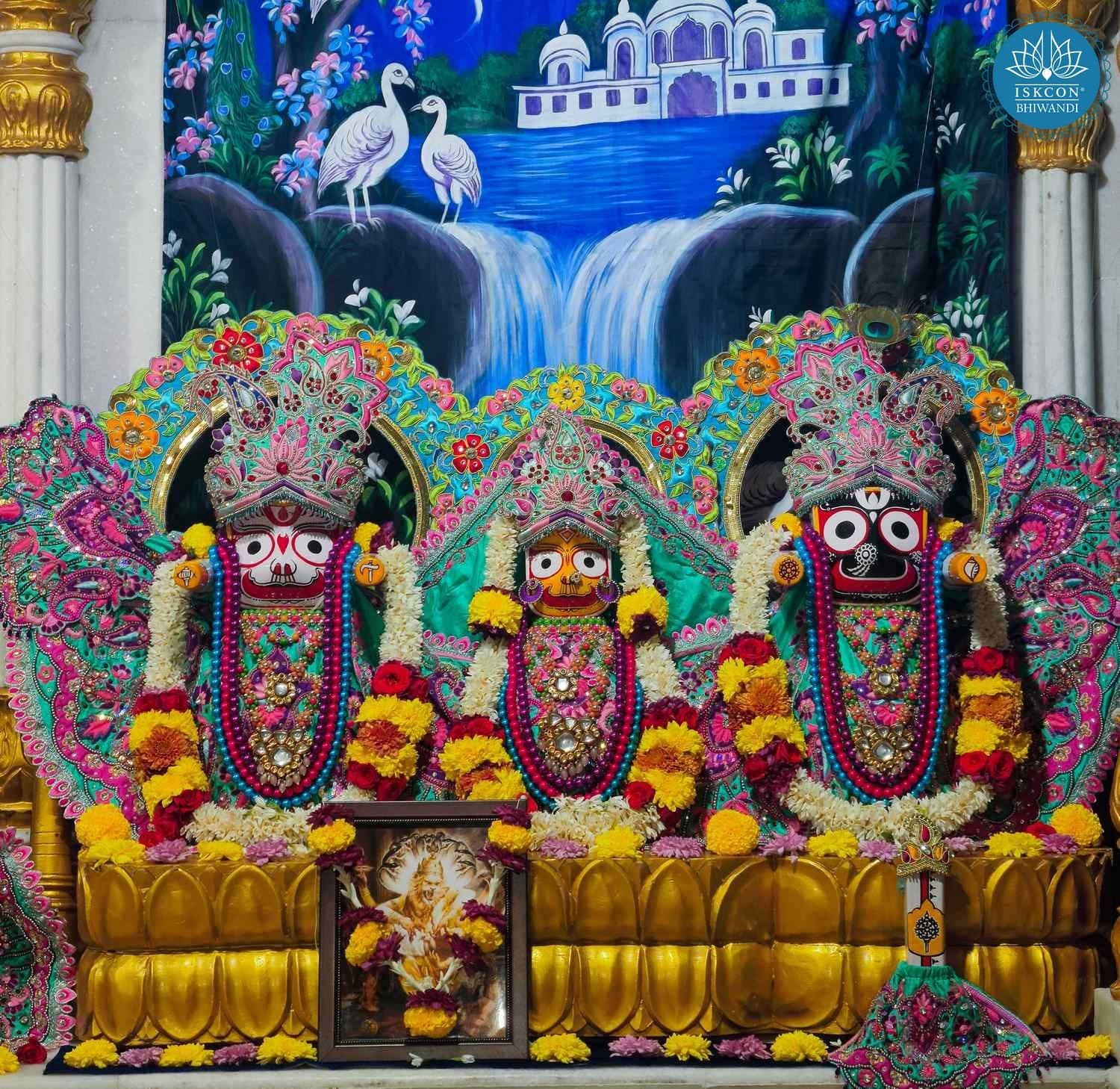 Sringar Darshan photo 4 of 12 — 3 December 2025