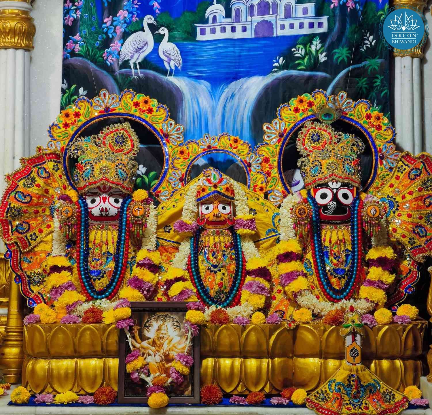 Sringar Darshan photo 2 of 12 — 4 December 2025