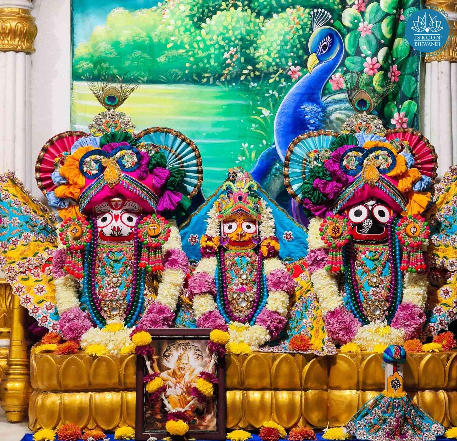 Sringar Darshan photo 2 of 12 — 5 December 2025
