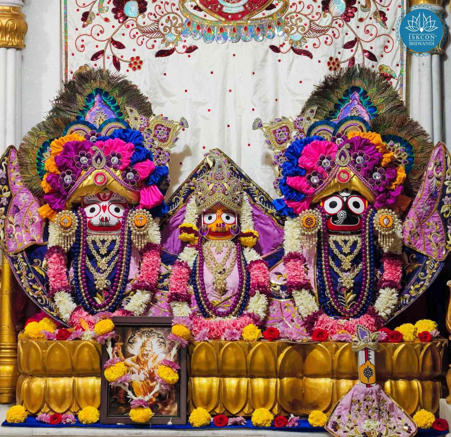 Sringar Darshan photo 4 of 12 — 6 December 2025