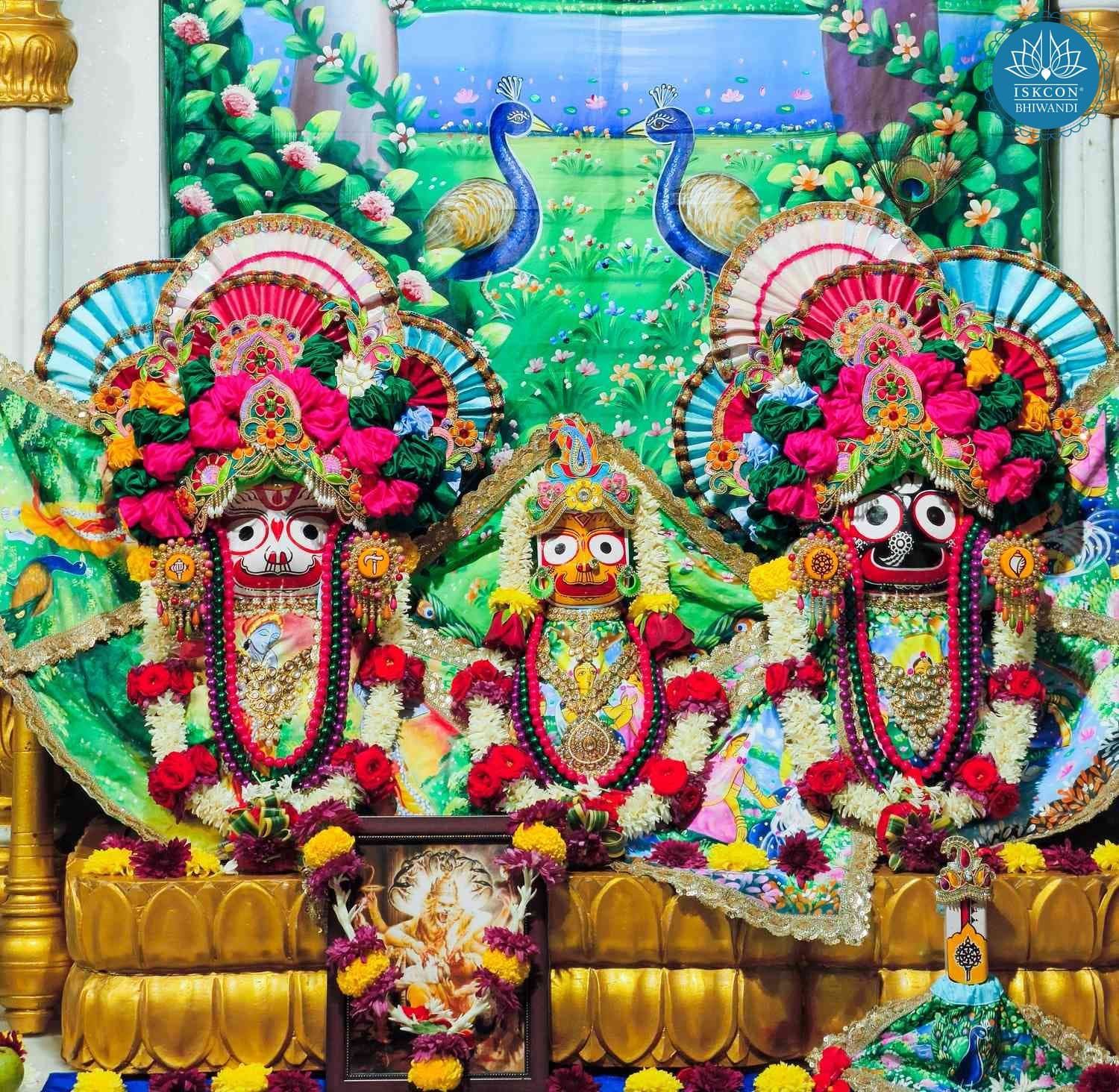 Sringar Darshan photo 6 of 12 — 7 December 2025