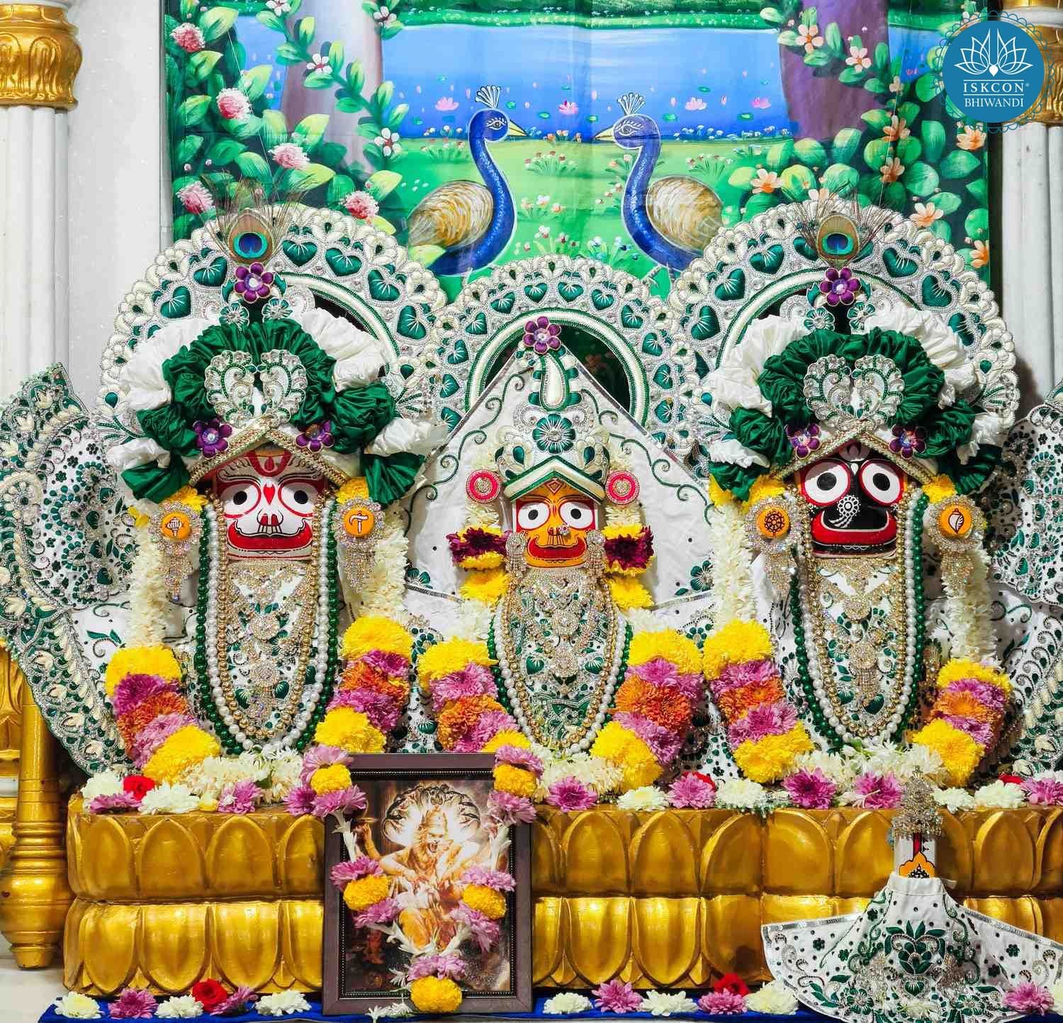 Sringar Darshan photo 3 of 12 — 8 December 2025