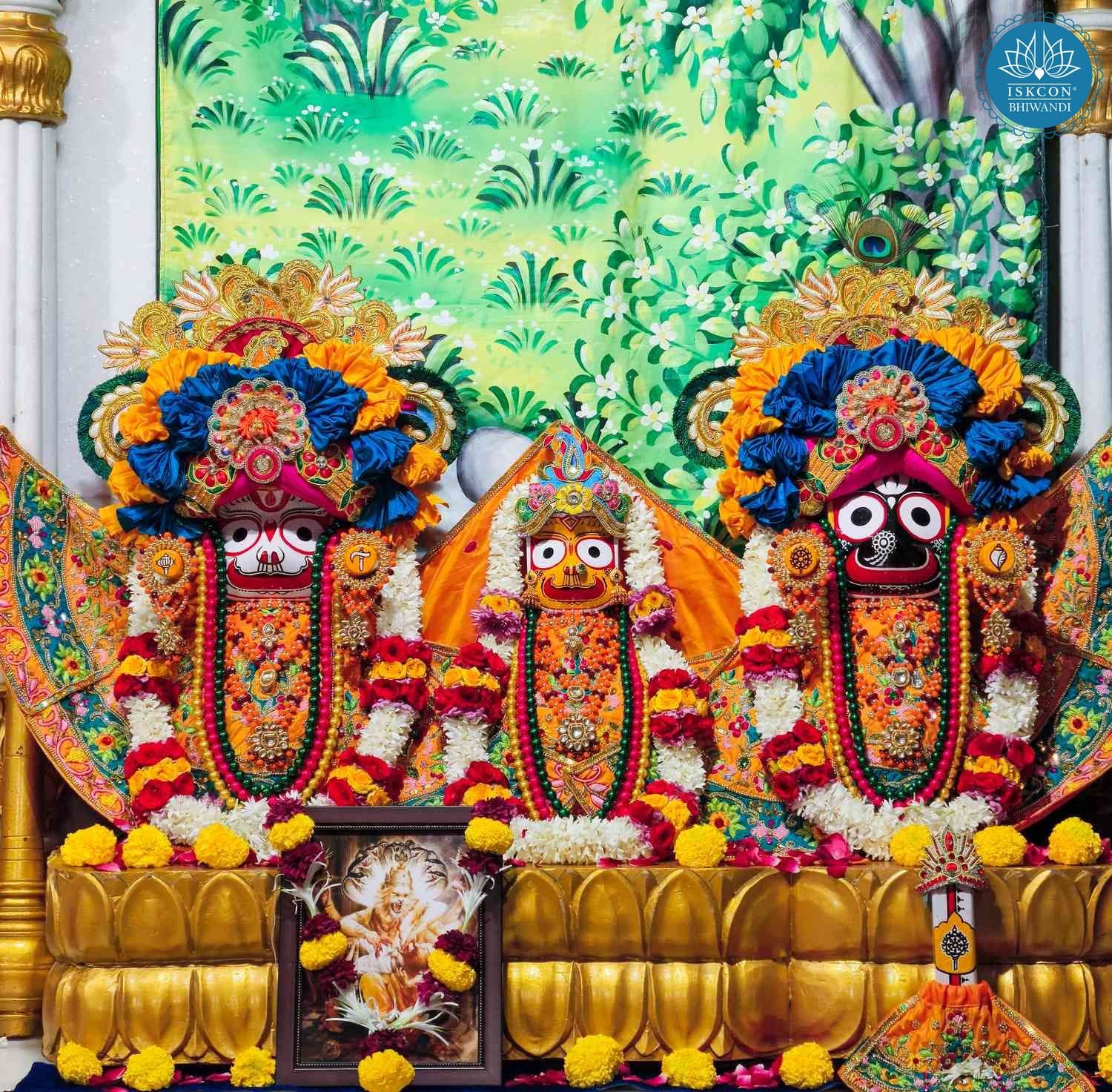 Sringar Darshan photo 2 of 12 — 9 December 2025