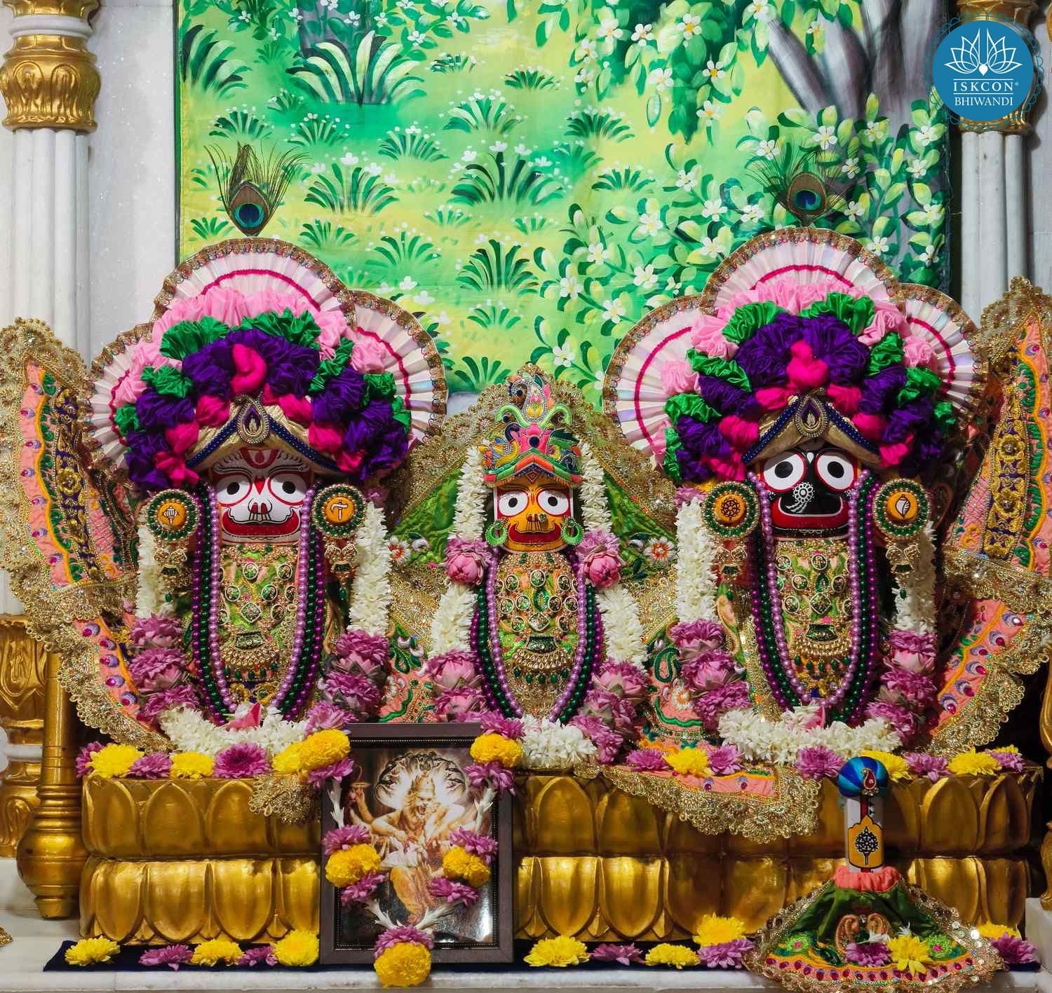Sringar Darshan photo 2 of 12 — 10 December 2025