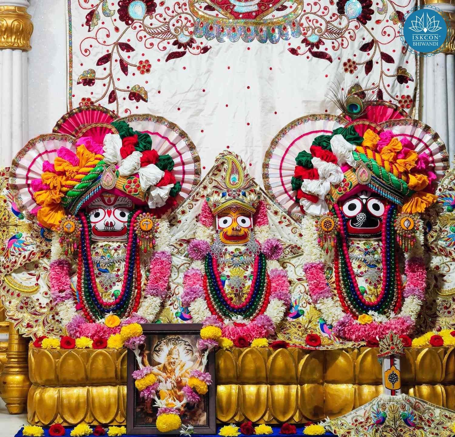 Sringar Darshan photo 2 of 12 — 12 December 2025