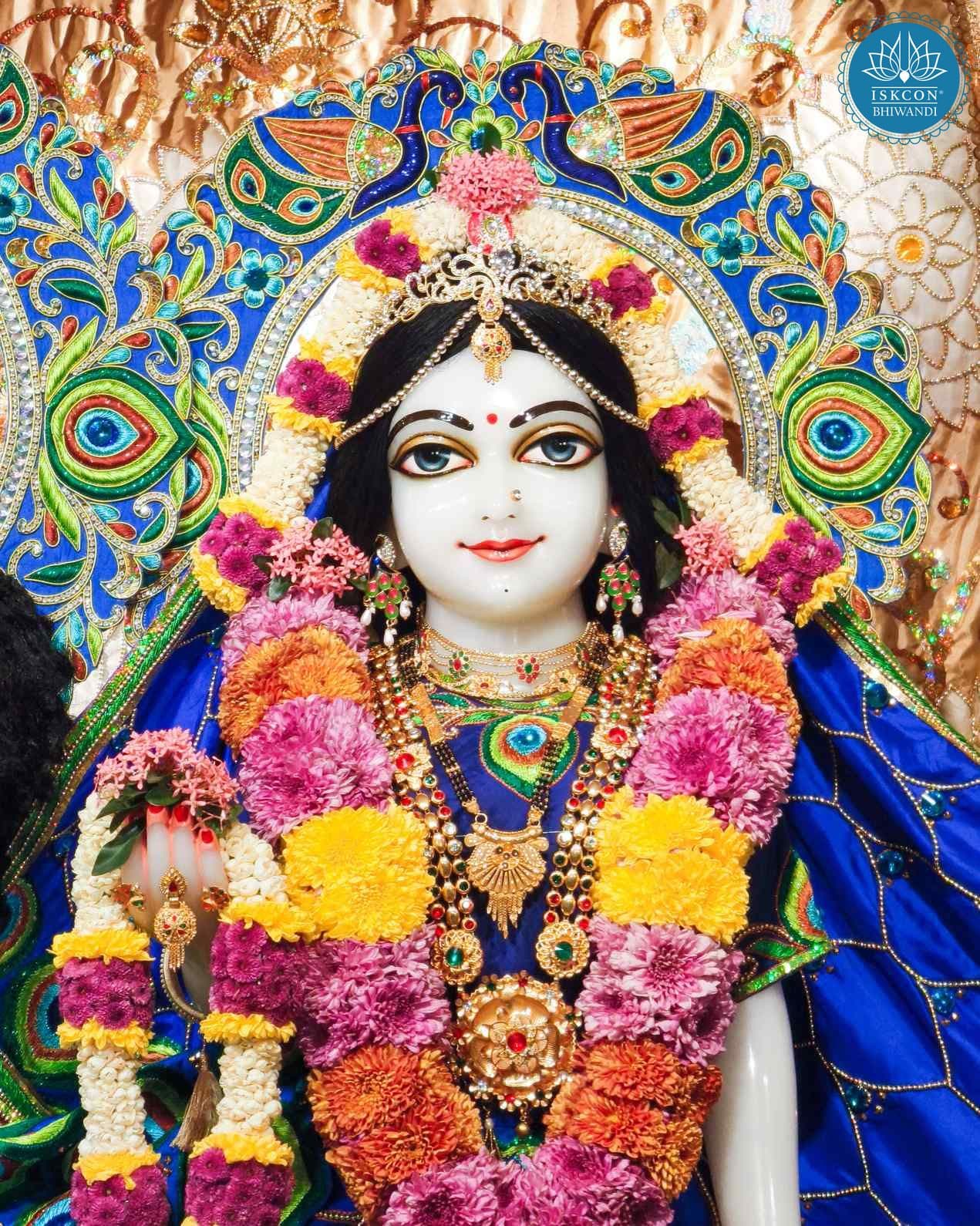 Sringar Darshan photo 11 of 12 — 13 December 2025