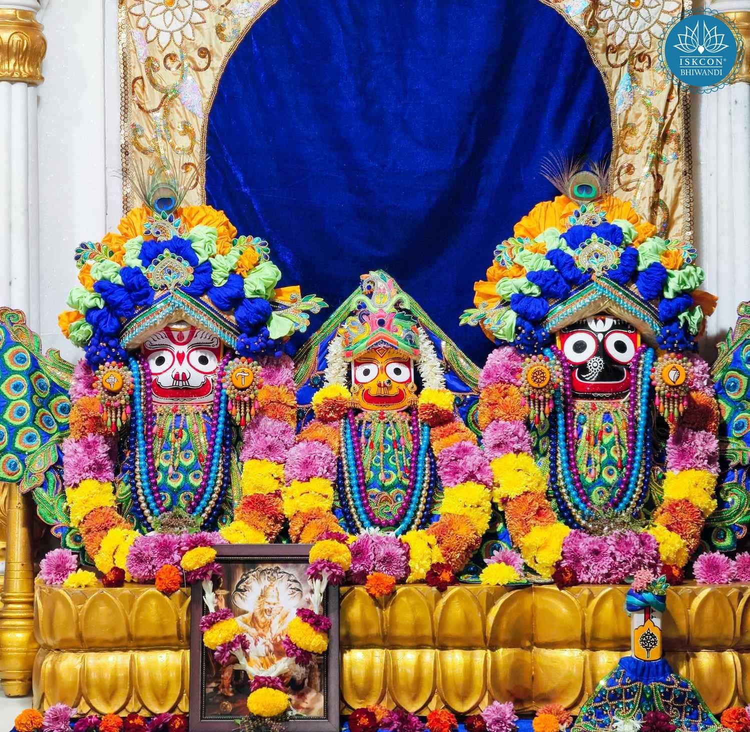 Sringar Darshan photo 2 of 12 — 13 December 2025