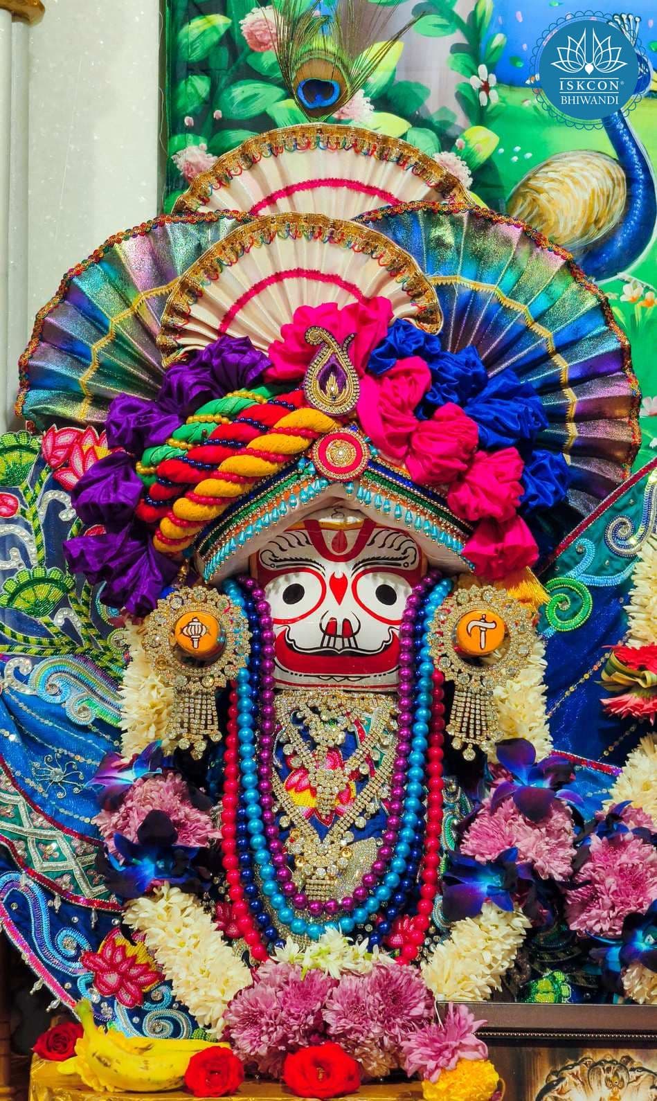 Sringar Darshan photo 8 of 12 — 14 December 2025