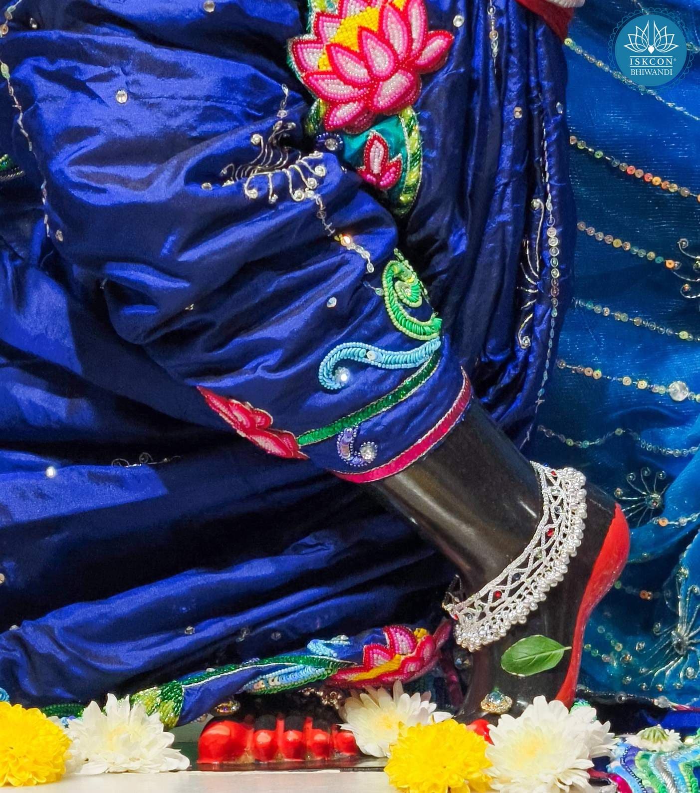 Sringar Darshan photo 11 of 12 — 14 December 2025