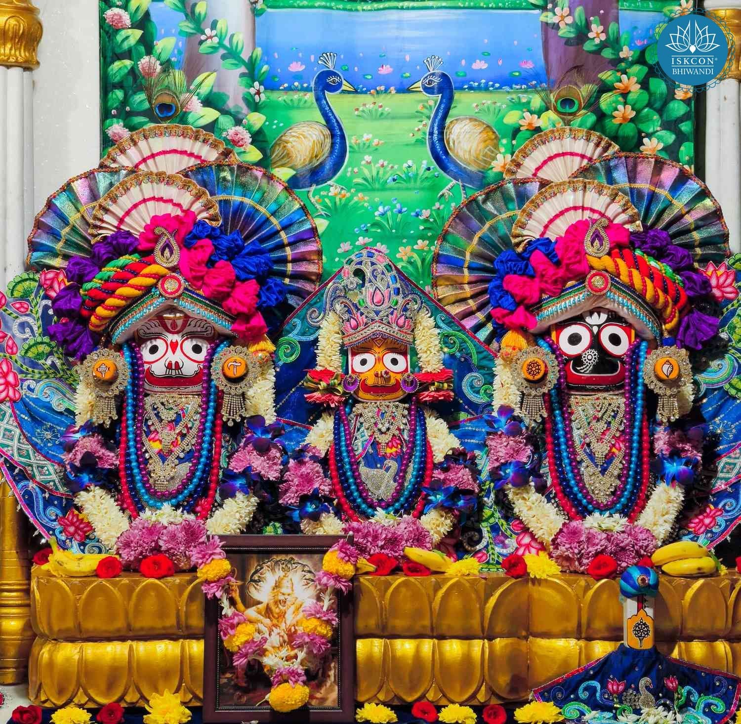 Sringar Darshan photo 4 of 12 — 14 December 2025