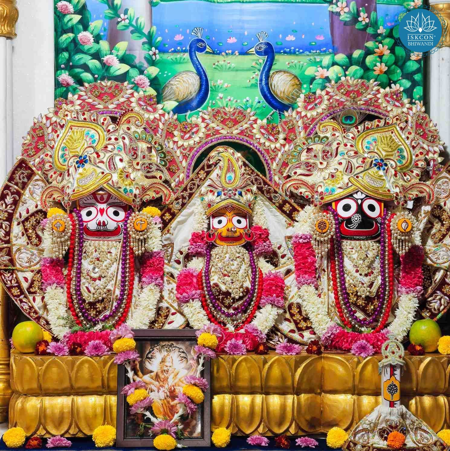 Sringar Darshan photo 2 of 12 — 15 December 2025