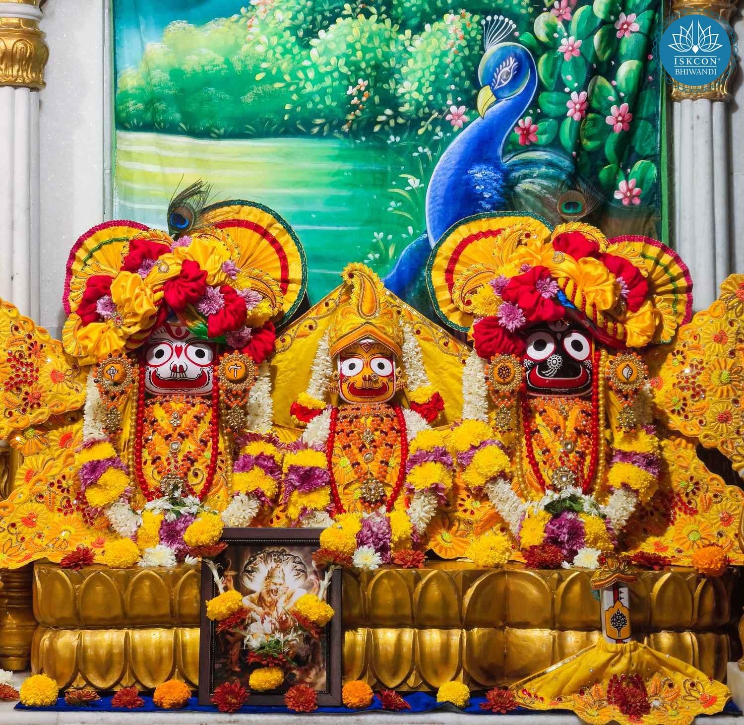 Sringar Darshan photo 4 of 12 — 18 December 2025