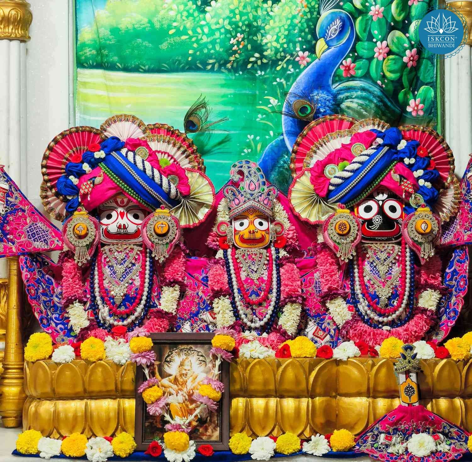 Sringar Darshan photo 6 of 12 — 19 December 2025