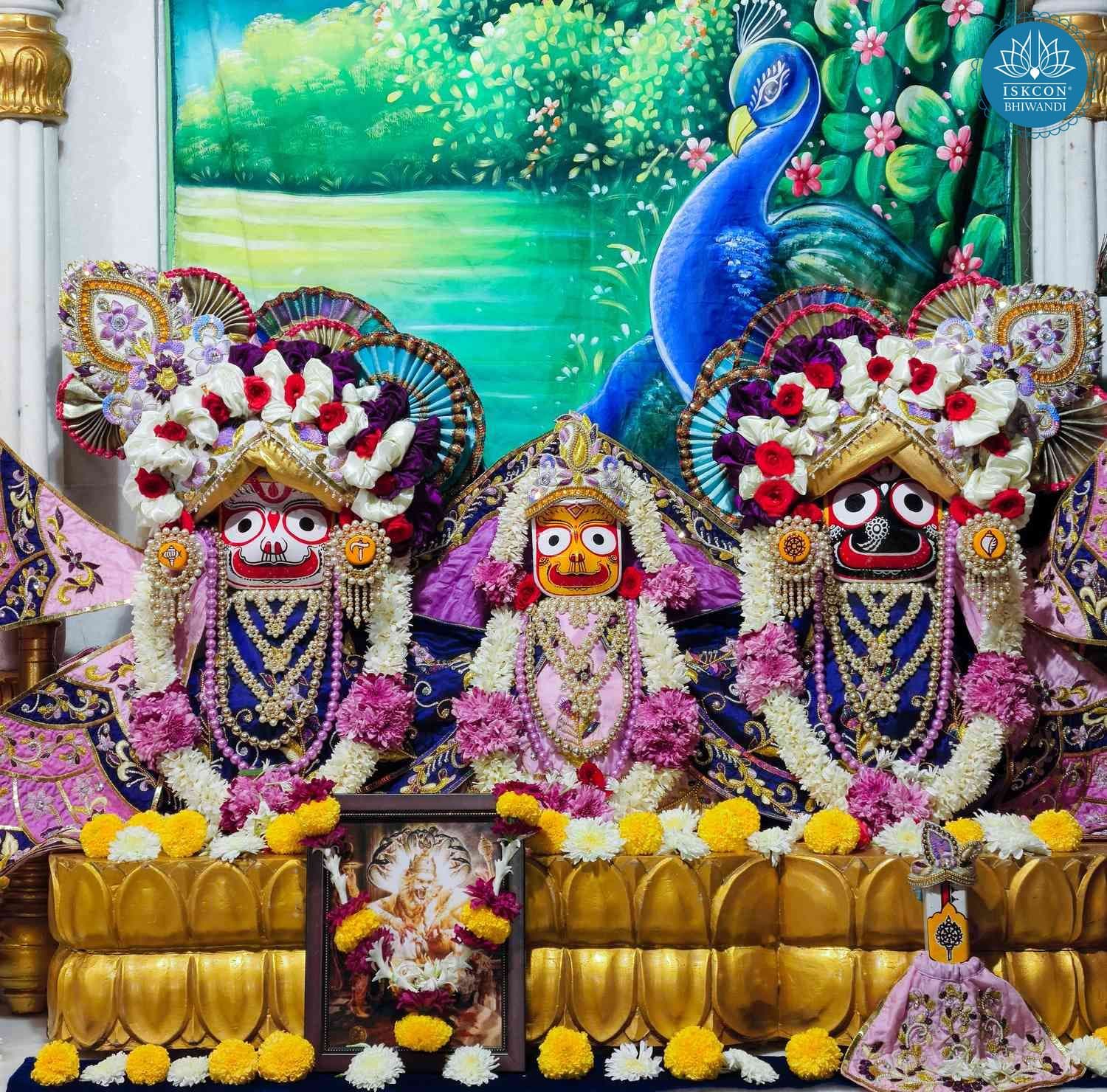 Sringar Darshan photo 2 of 12 — 20 December 2025