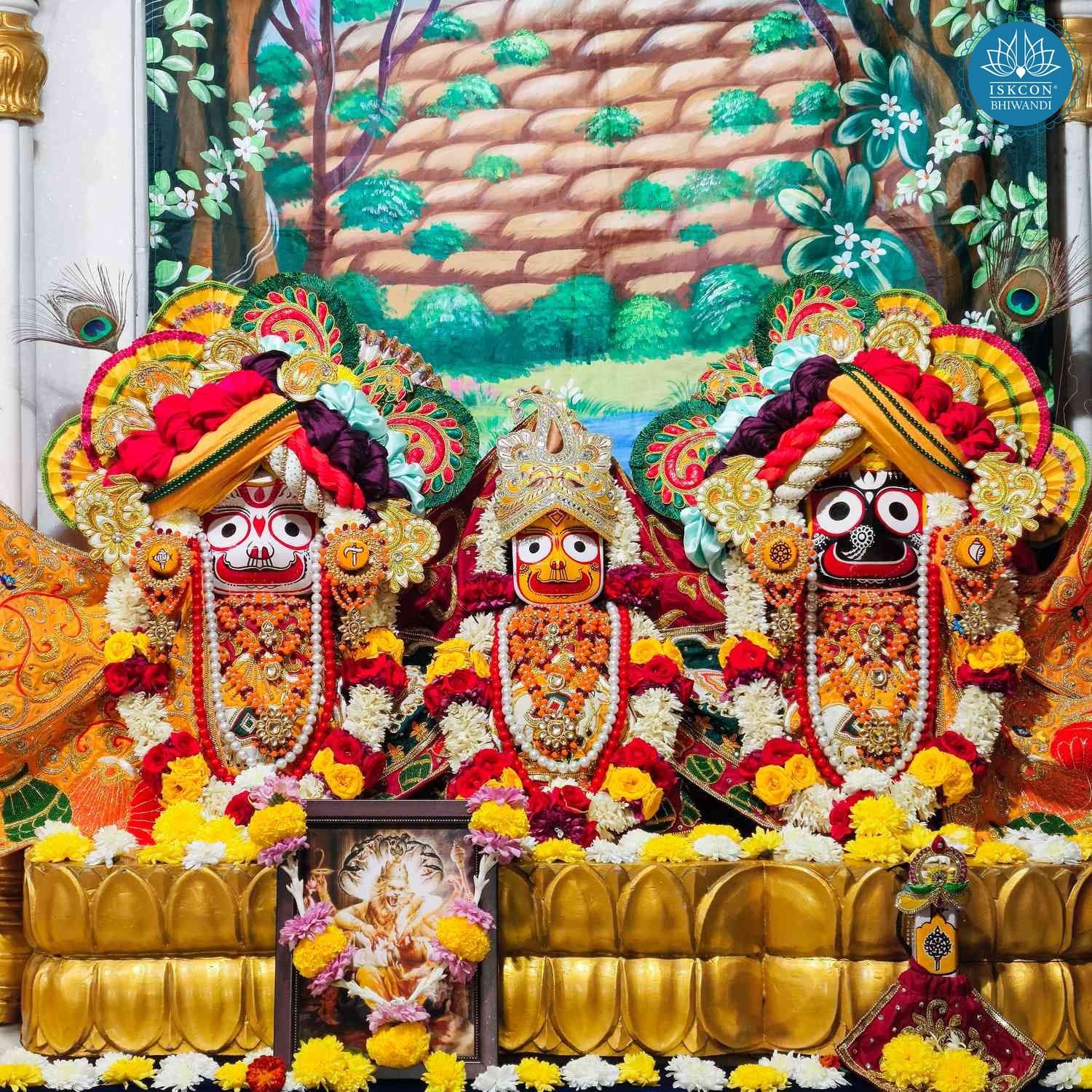 Sringar Darshan photo 2 of 12 — 23 December 2025