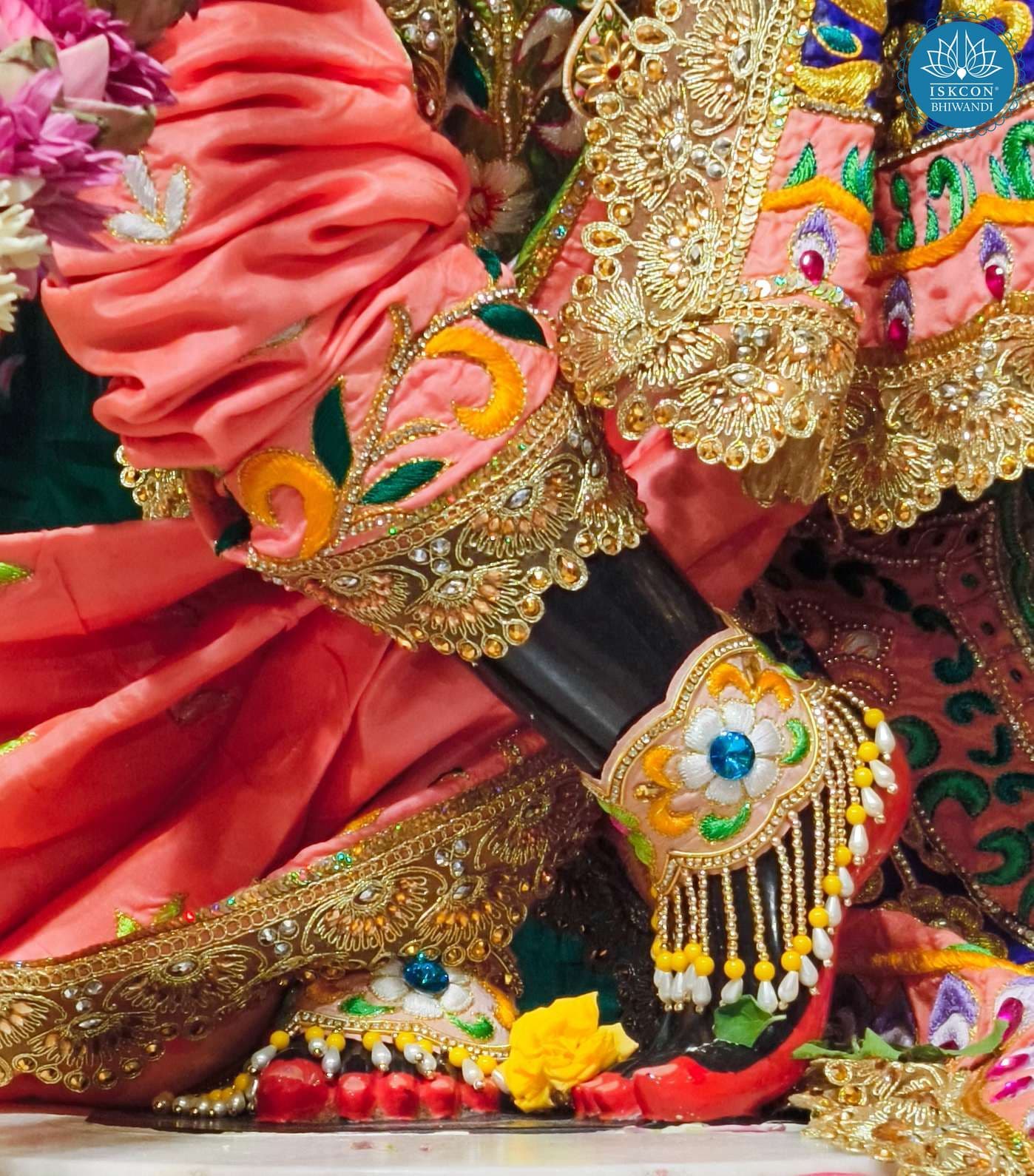 Sringar Darshan photo 12 of 12 — 24 December 2025