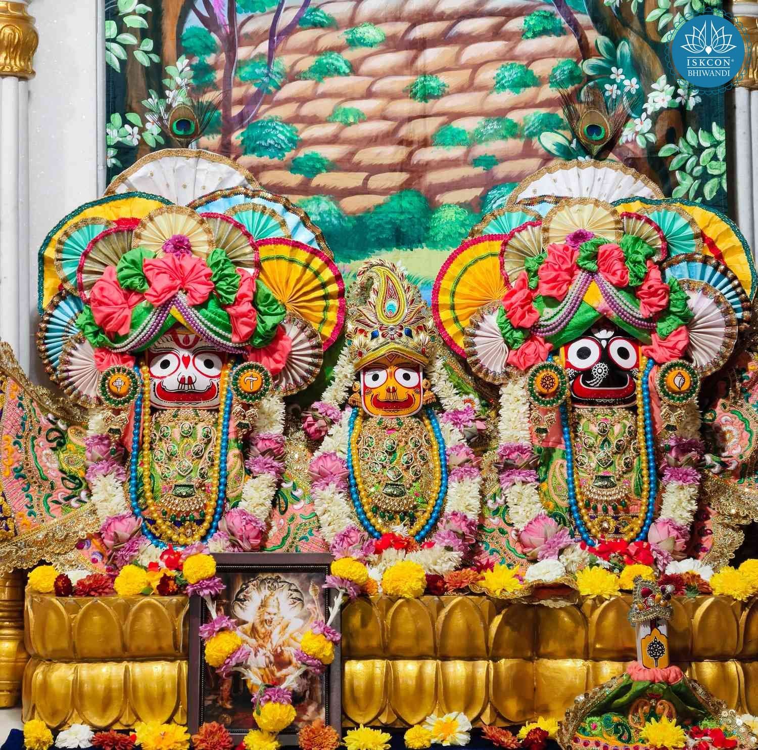Sringar Darshan photo 5 of 12 — 24 December 2025