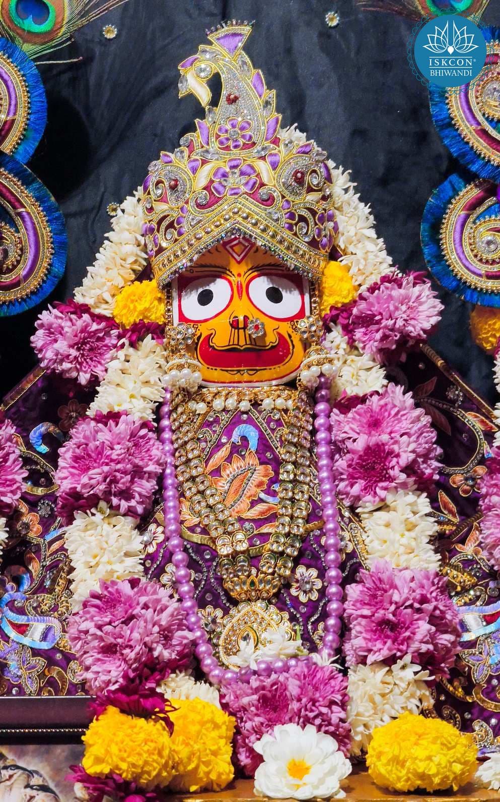 Sringar Darshan photo 8 of 12 — 26 December 2025
