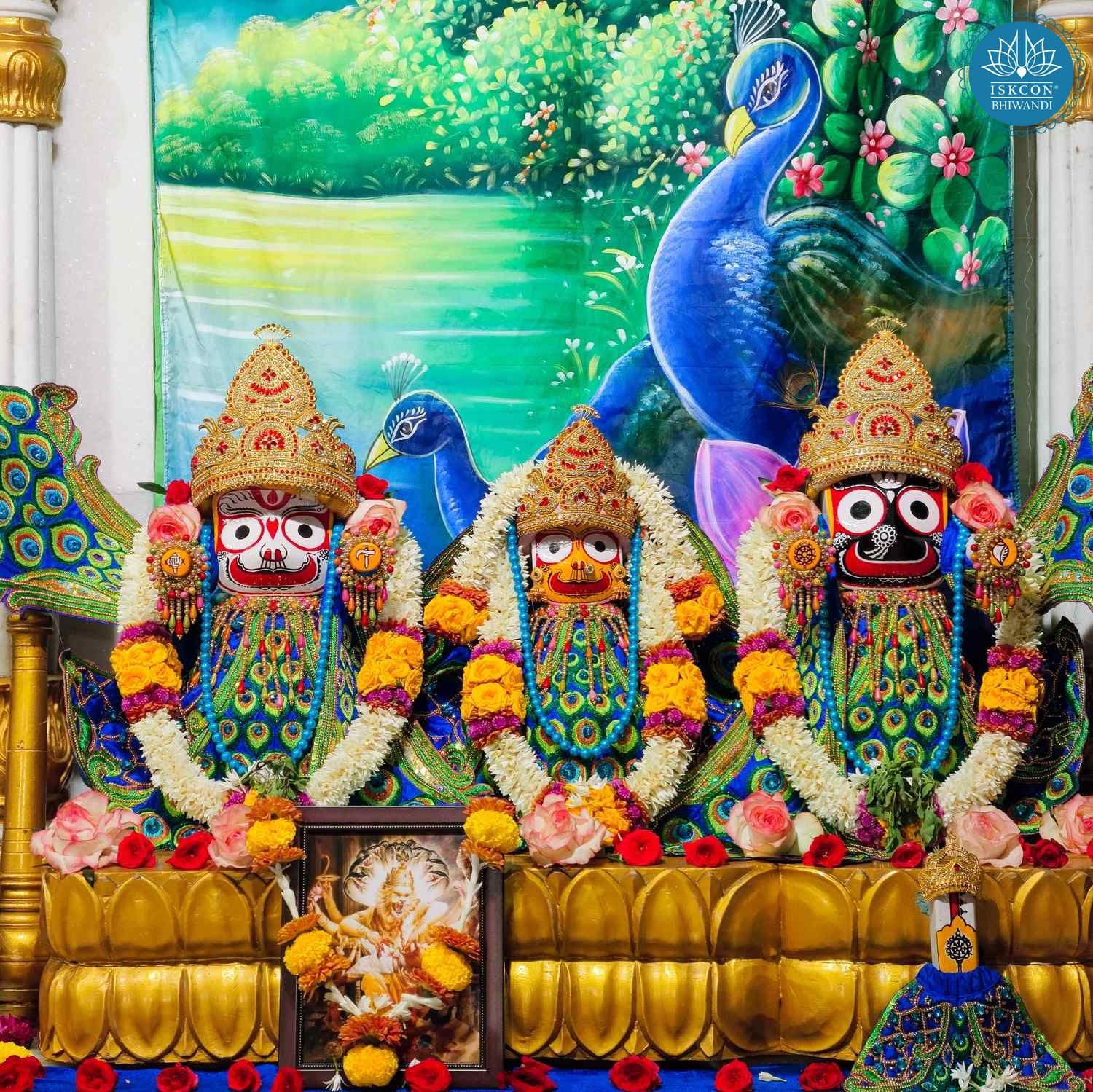 Sringar Darshan photo 2 of 12 — 27 December 2025