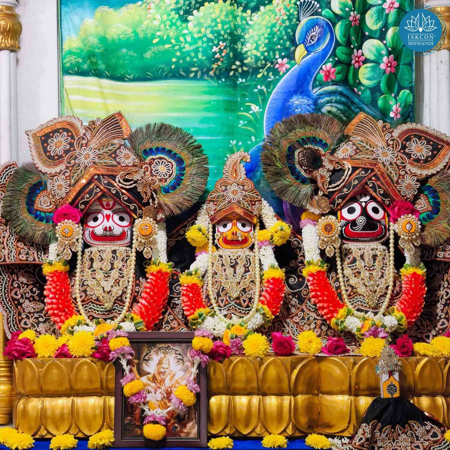 Sringar Darshan photo 2 of 12 — 28 December 2025