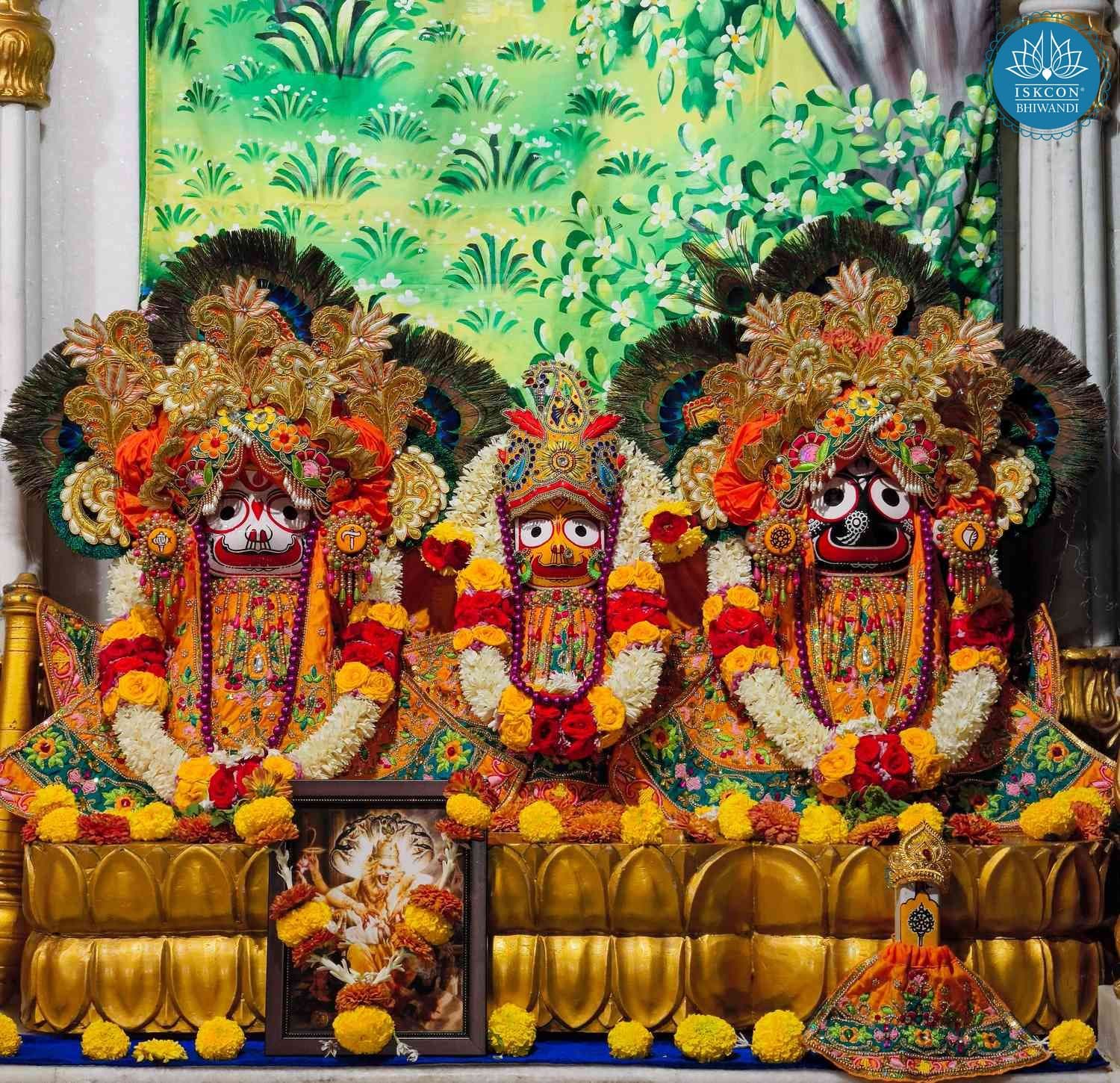 Sringar Darshan photo 4 of 12 — 30 December 2025