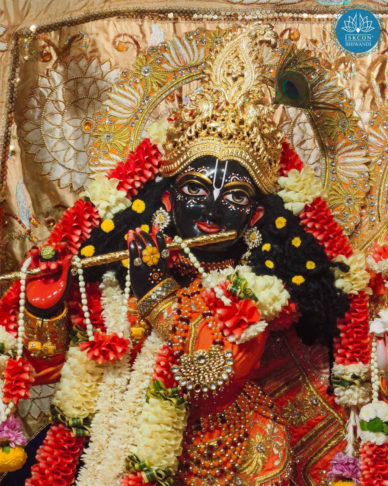 Sringar Darshan photo 11 of 12 — 31 December 2025