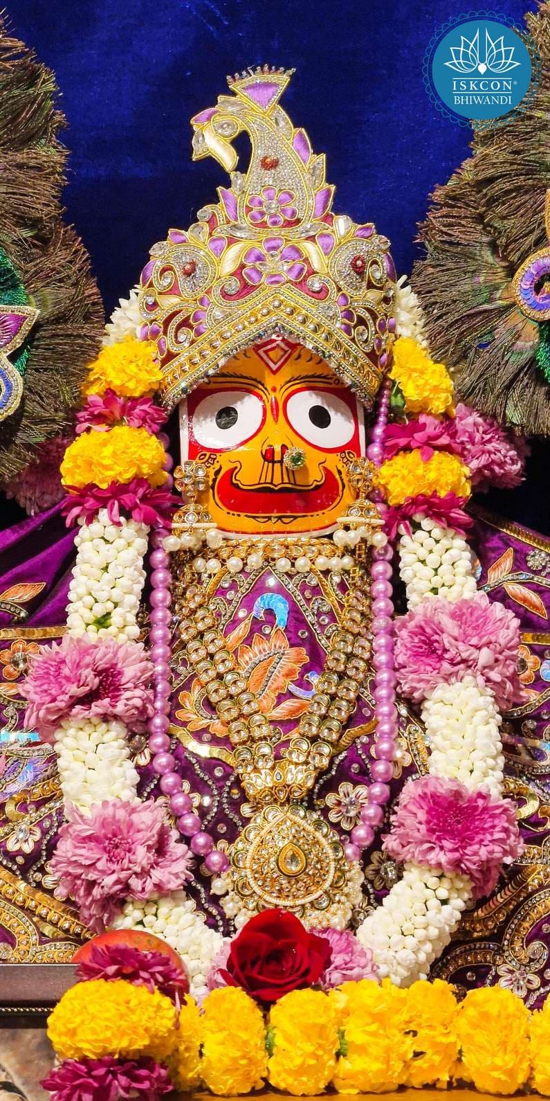 Sringar Darshan photo 8 of 12 — 1 January 2026