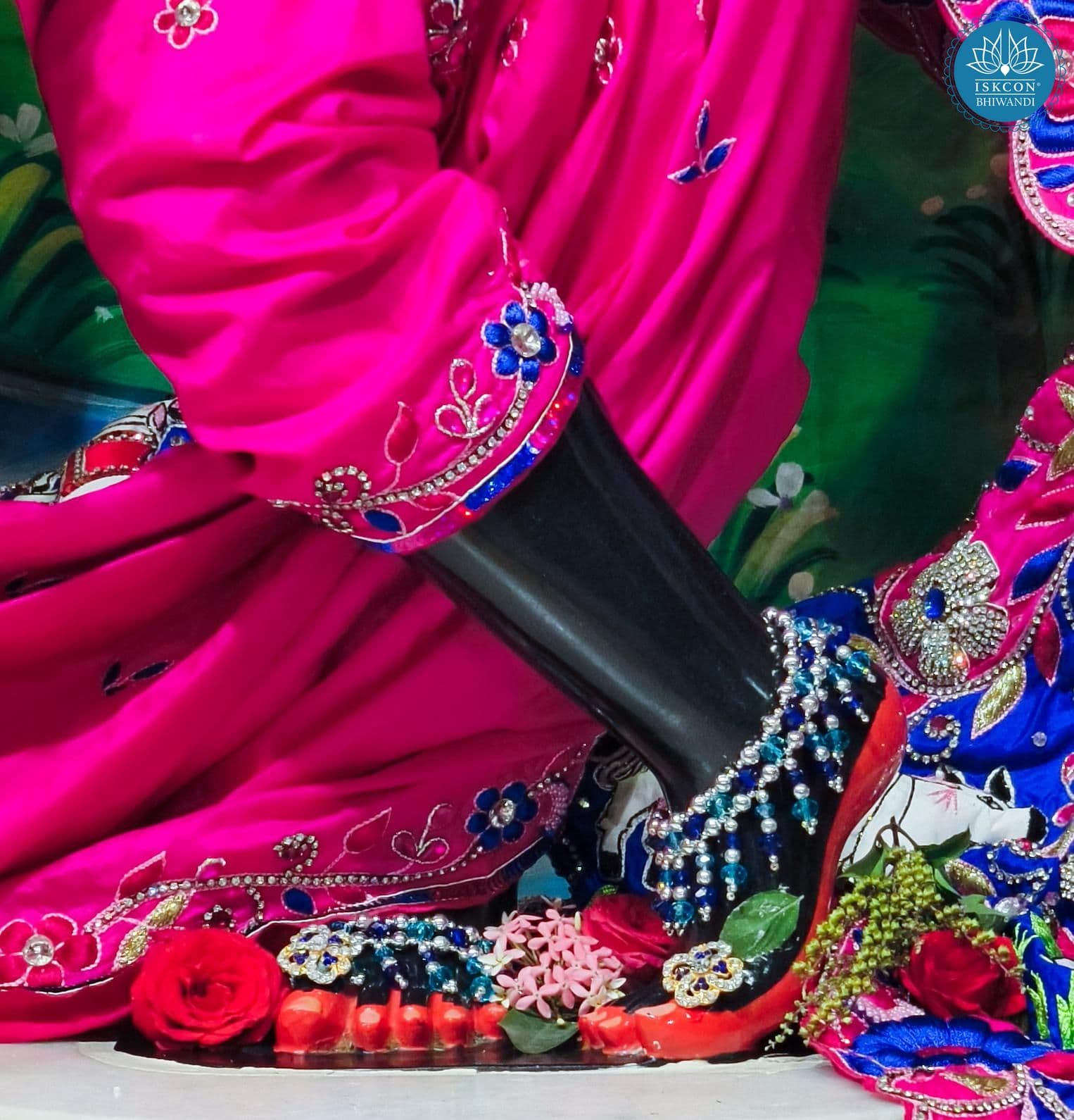 Sringar Darshan photo 10 of 12 — 2 January 2026