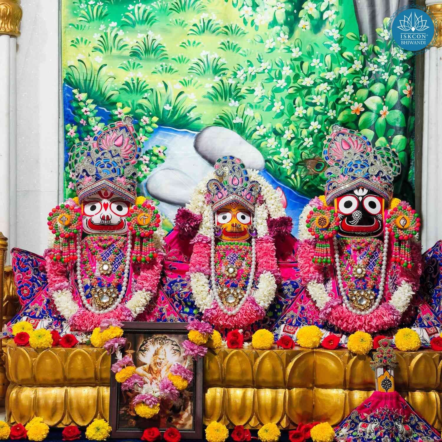 Sringar Darshan photo 3 of 12 — 2 January 2026