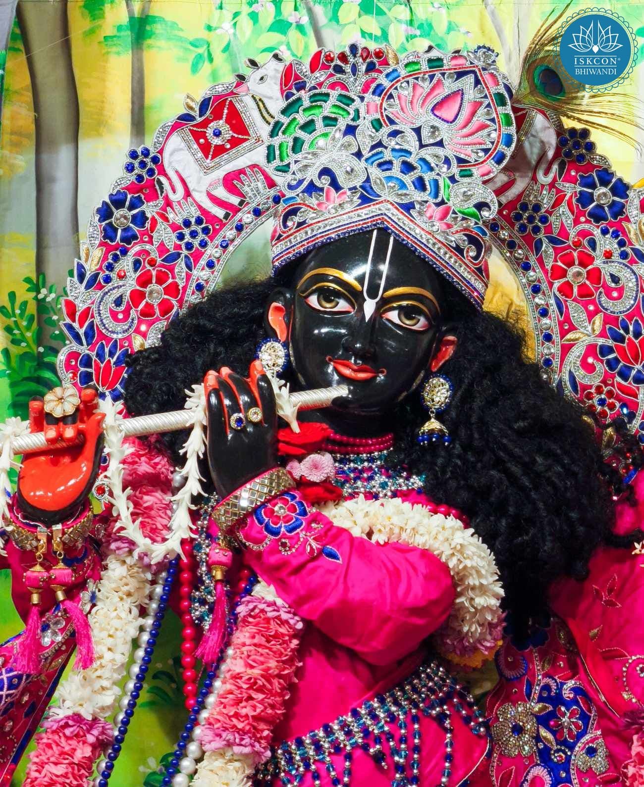 Sringar Darshan photo 12 of 12 — 2 January 2026