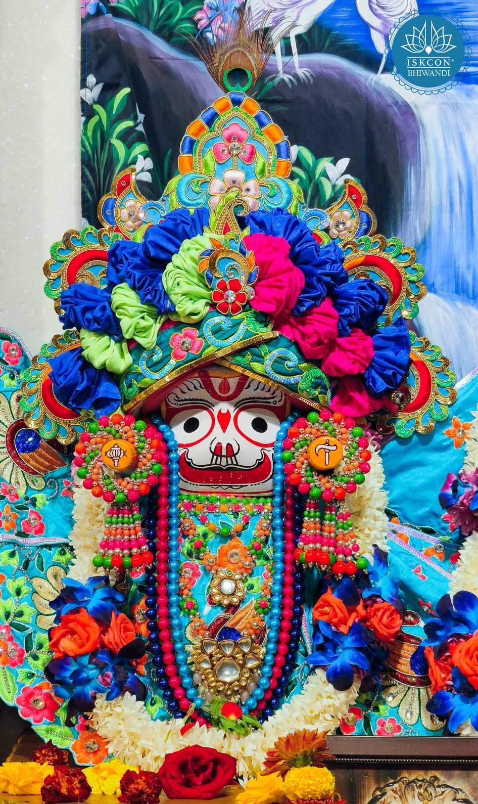 Sringar Darshan photo 9 of 12 — 9 January 2026