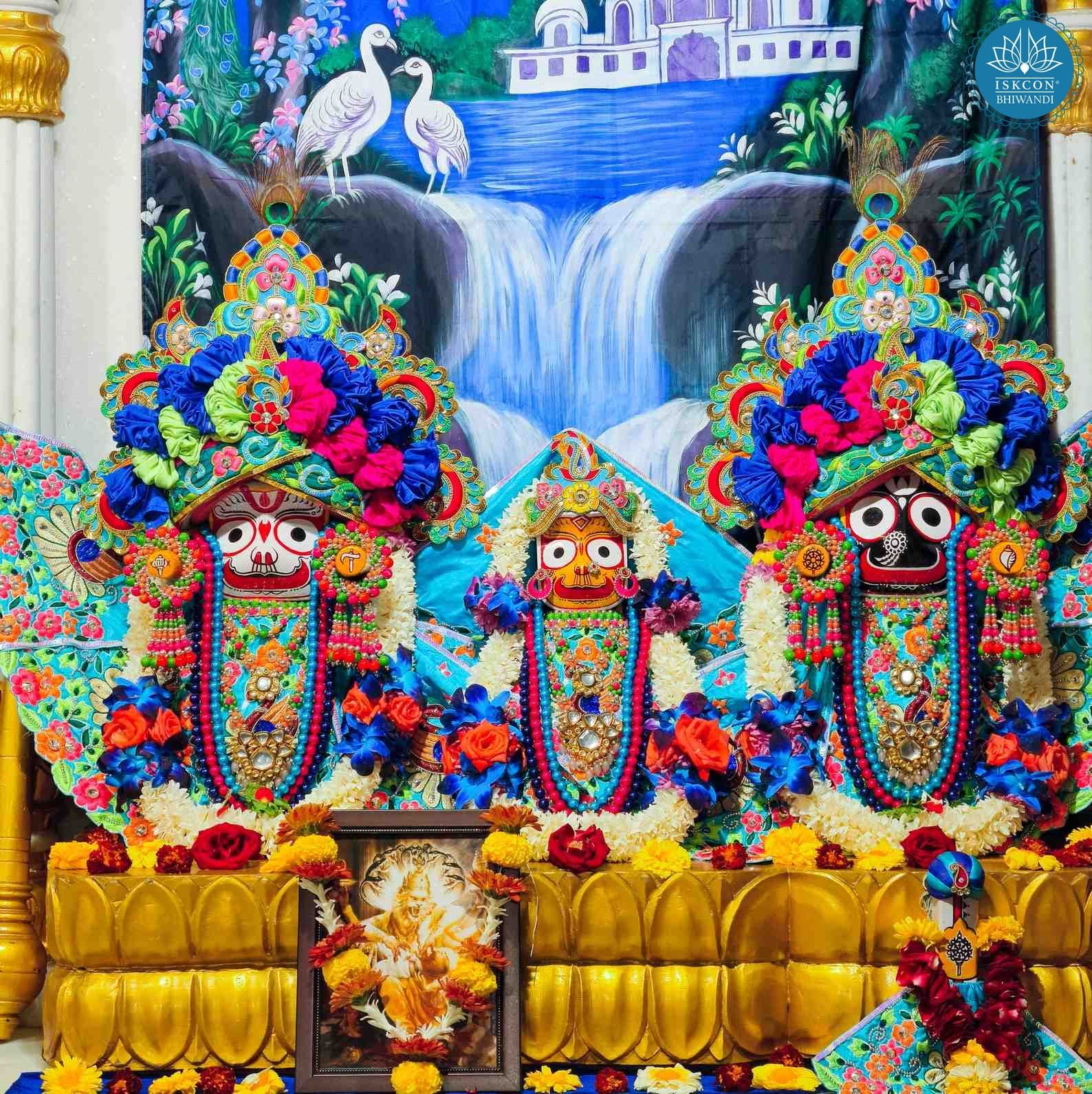 Sringar Darshan photo 4 of 12 — 9 January 2026