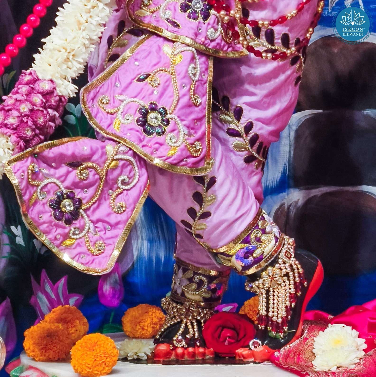 Sringar Darshan photo 3 of 12 — 10 January 2026