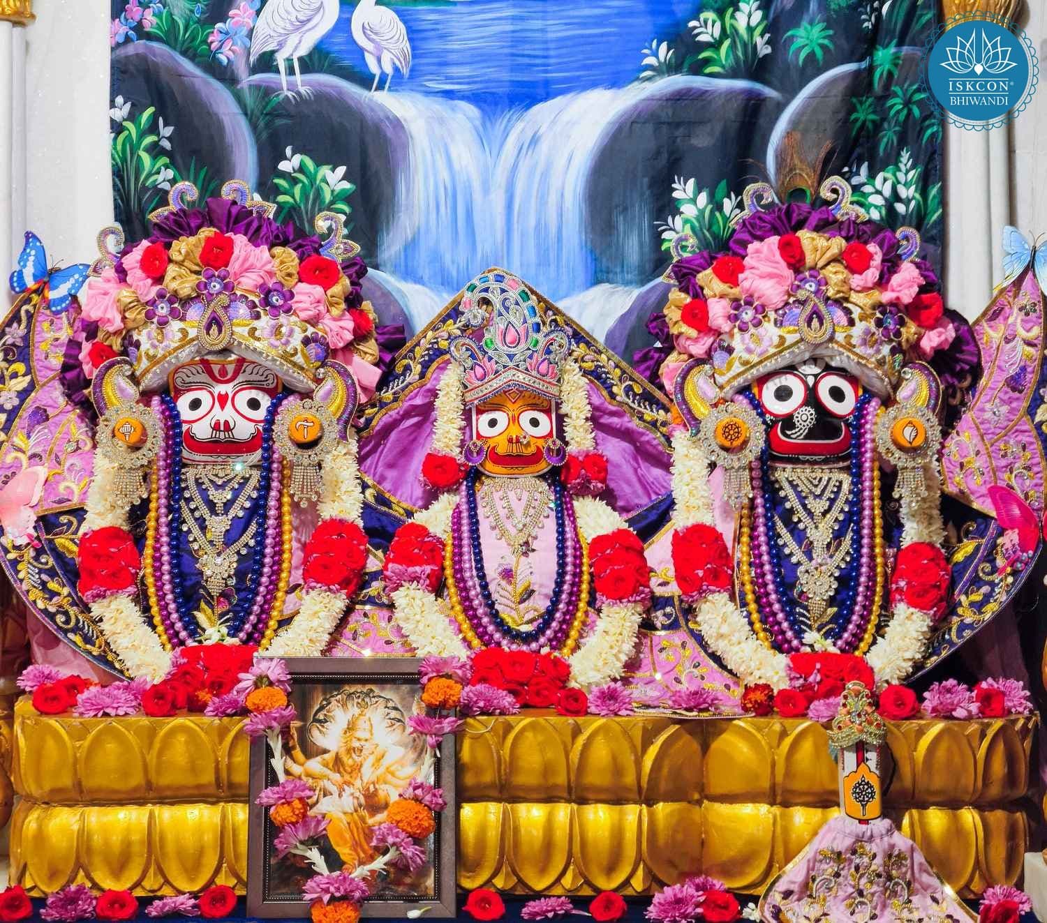 Sringar Darshan photo 4 of 12 — 10 January 2026