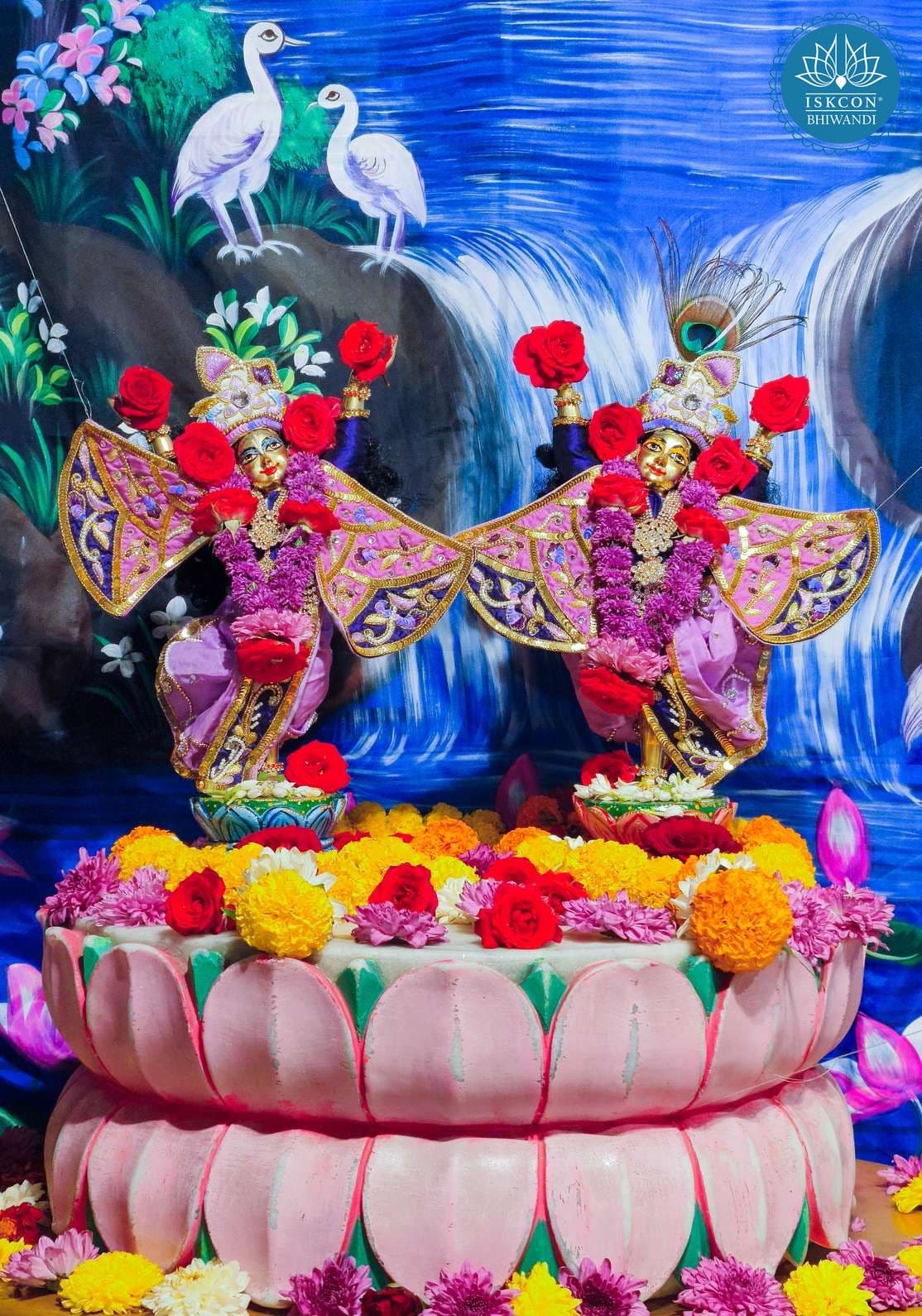 Sringar Darshan photo 6 of 12 — 10 January 2026