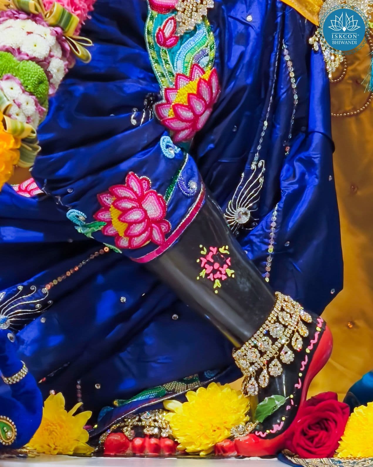 Sringar Darshan photo 12 of 12 — 11 January 2026