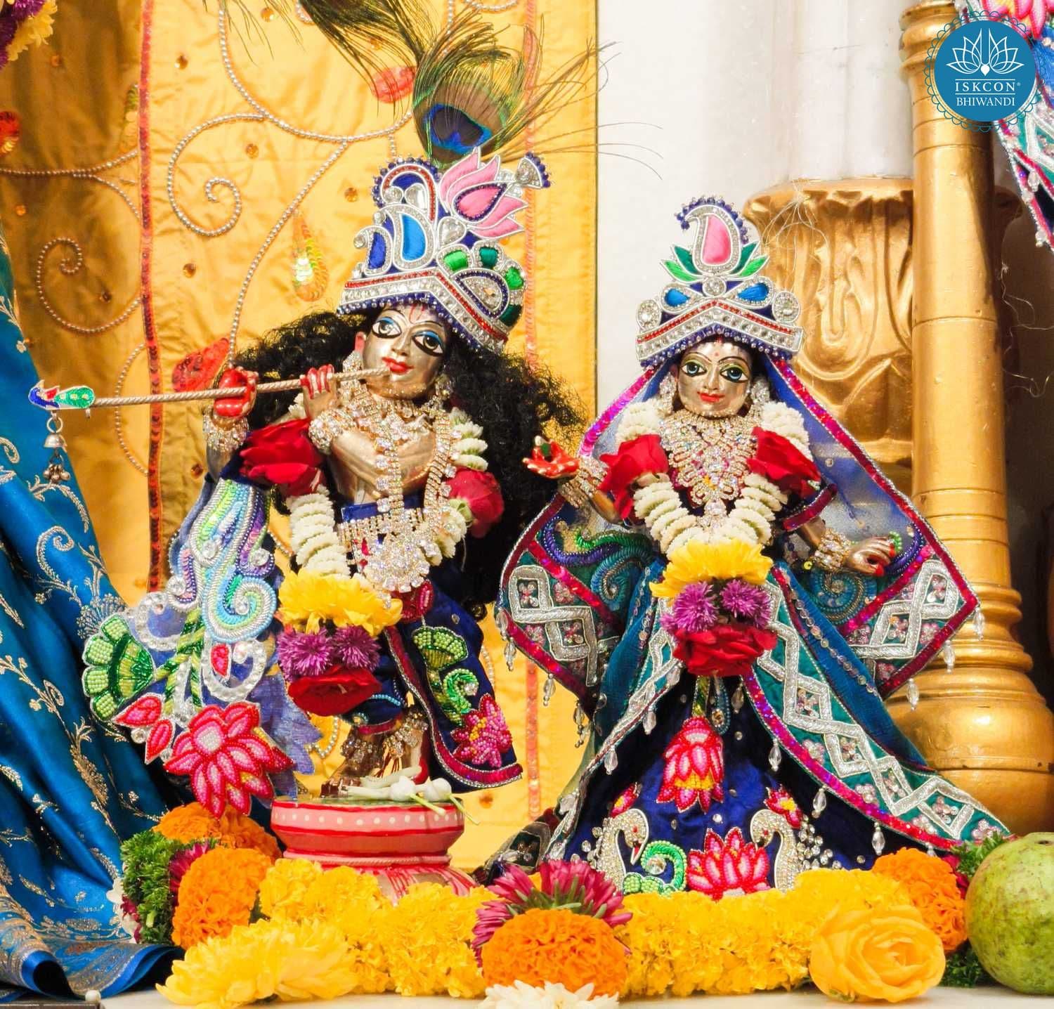 Sringar Darshan photo 9 of 12 — 11 January 2026