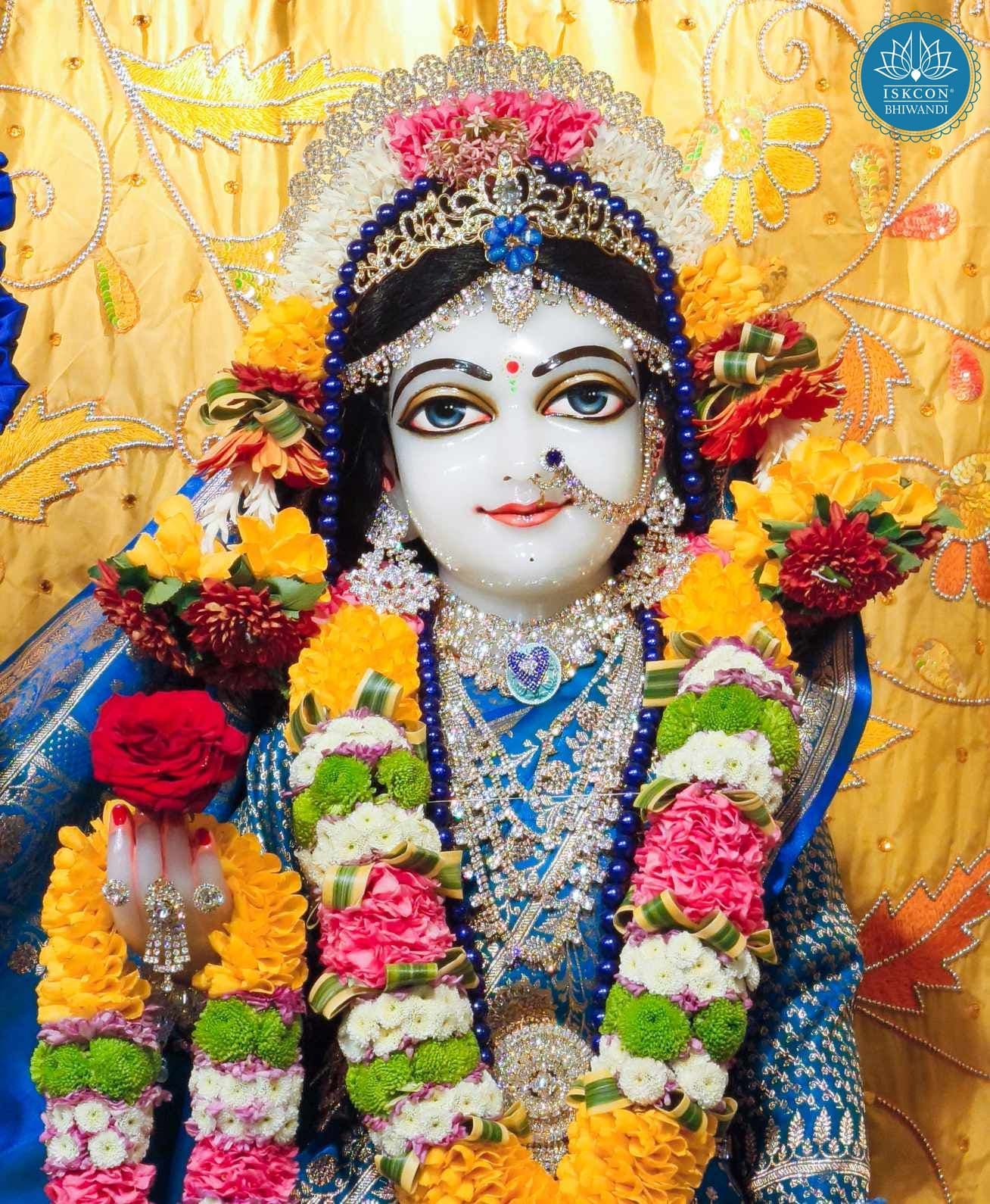 Sringar Darshan photo 10 of 12 — 11 January 2026